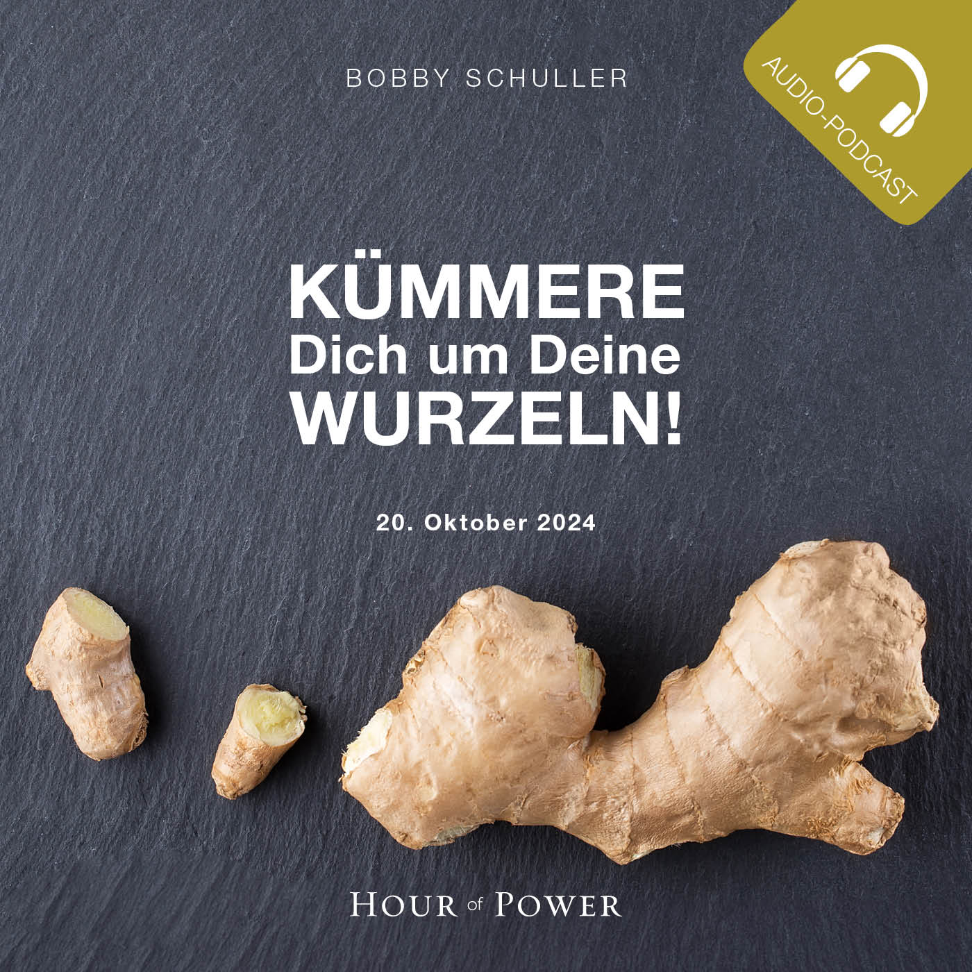 Kümmere Dich um Deine Wurzeln! - Predigt von Bobby Schuller episode artwork