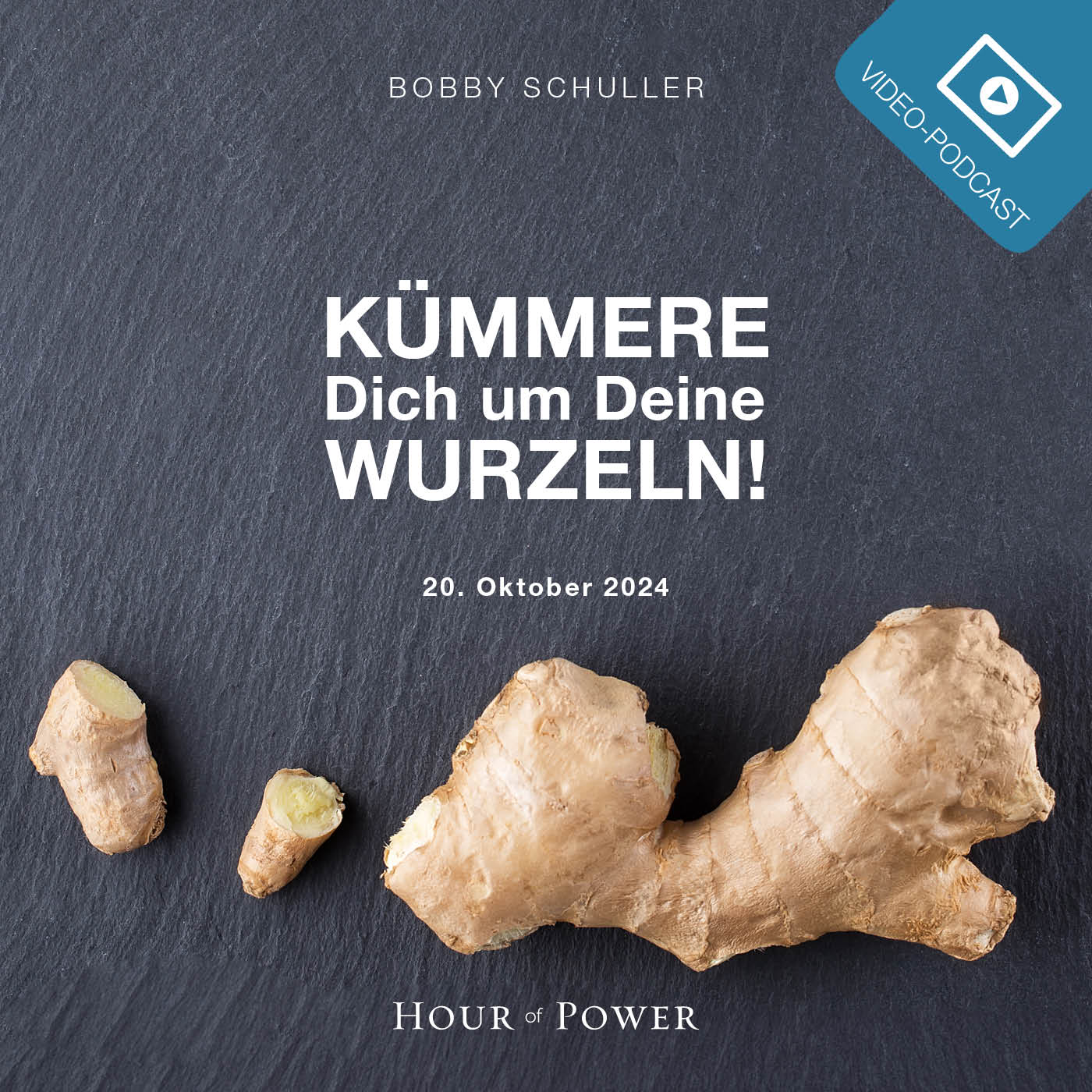 Kümmere Dich um Deine Wurzeln! - Predigt von Bobby Schuller episode artwork