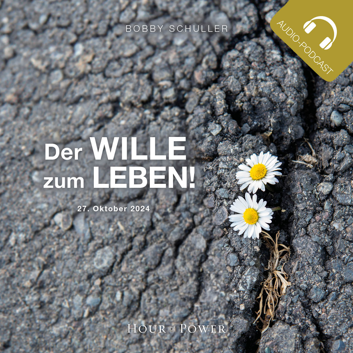 Der Wille zum Leben! - Predigt von Bobby Schuller episode artwork