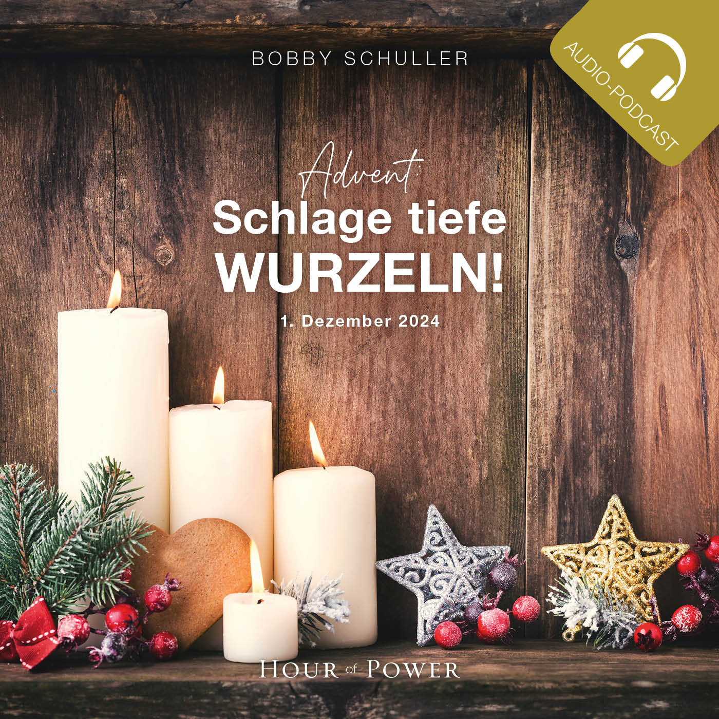 Advent: Schlage tiefe Wurzeln! - Predigt von Bobby Schuller episode artwork