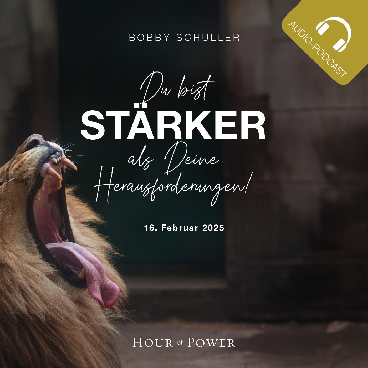 Du bist stärker als Deine Herausforderungen! - Predigt von Bobby Schuller episode artwork