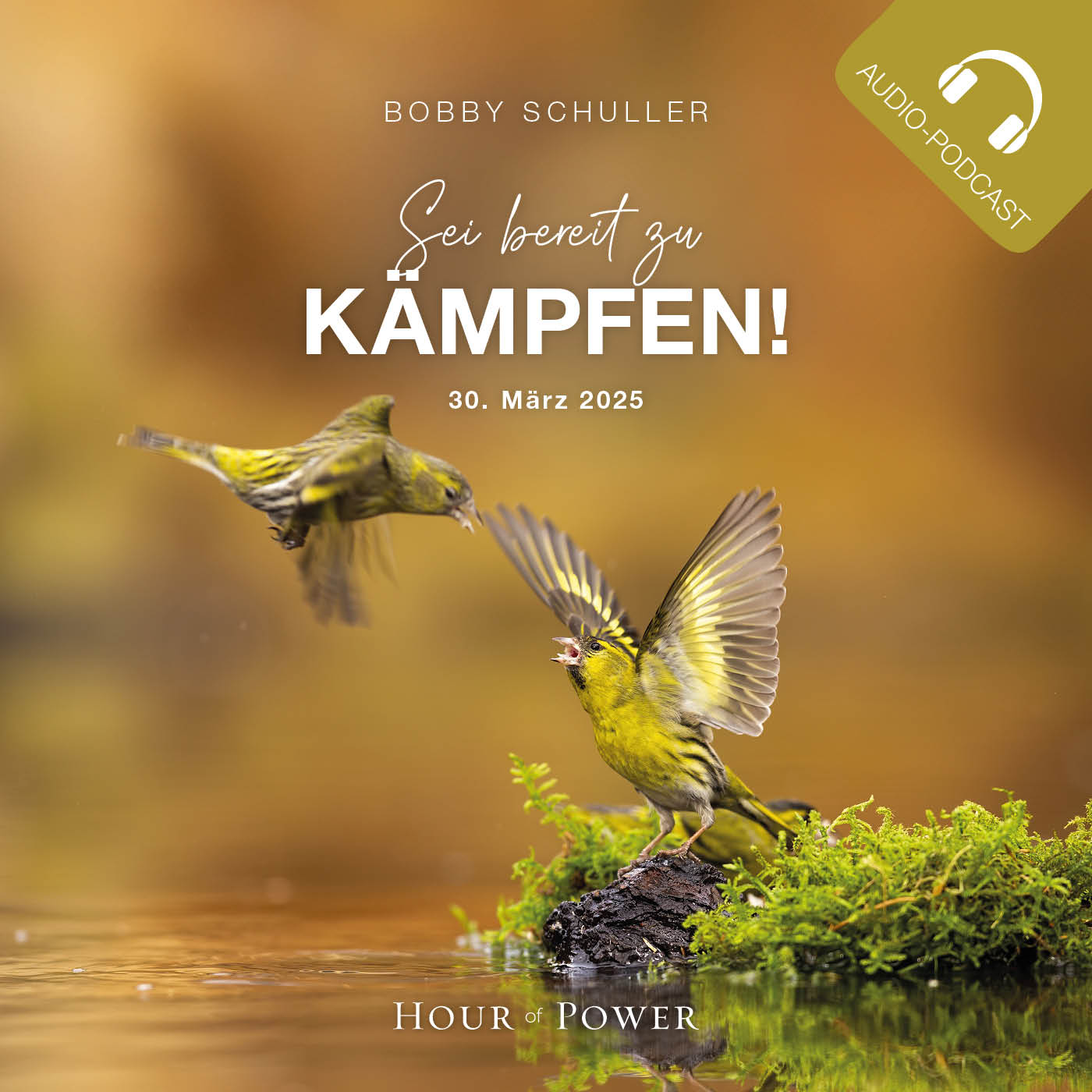Sei bereit zu kämpfen! - Predigt von Bobby Schuller episode artwork