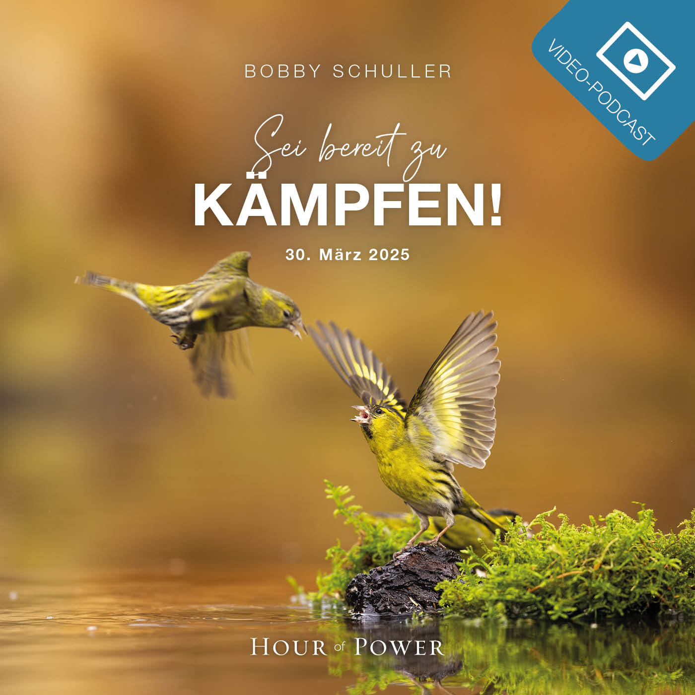 Sei bereit zu kämpfen! - Predigt von Bobby Schuller episode artwork