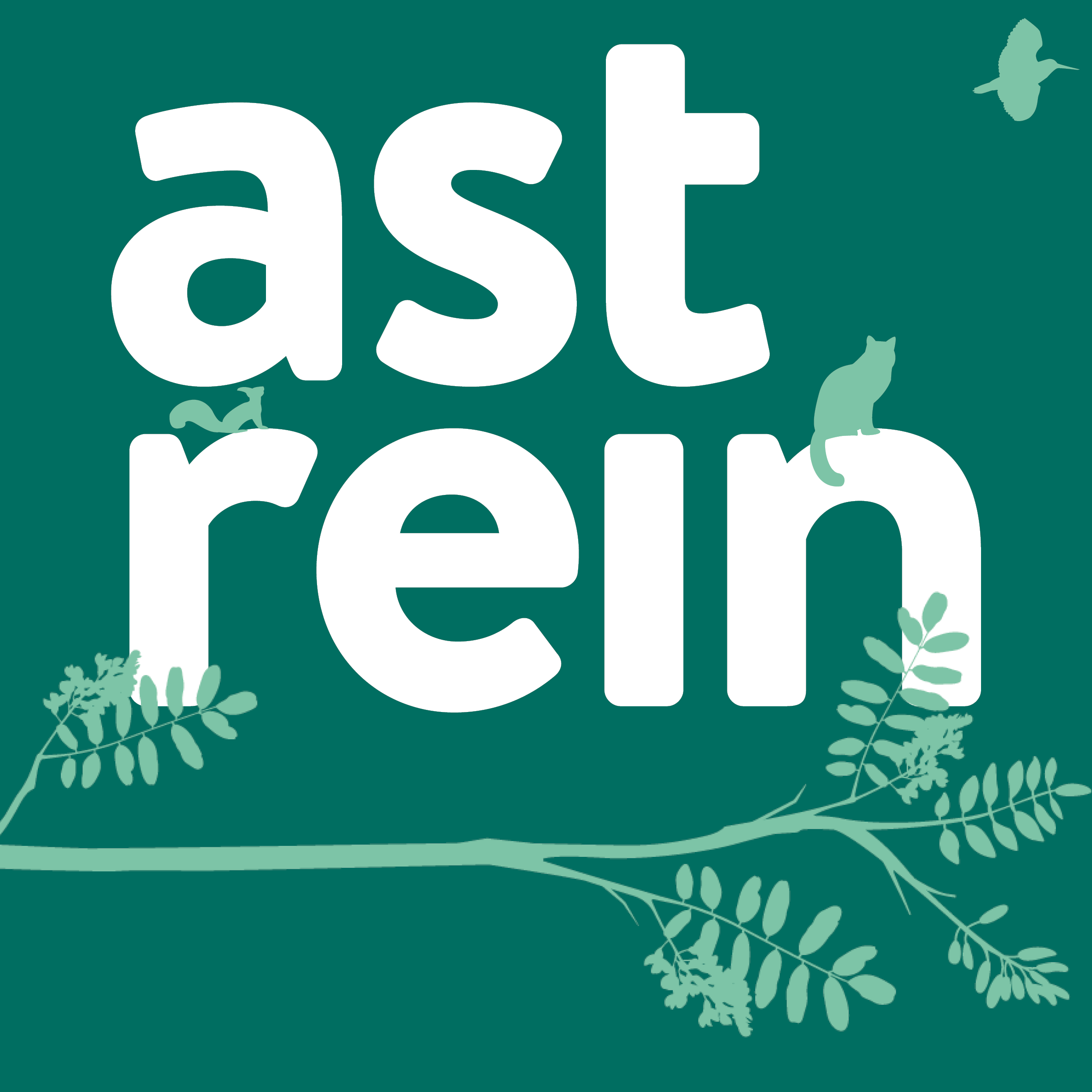 Podcast Image