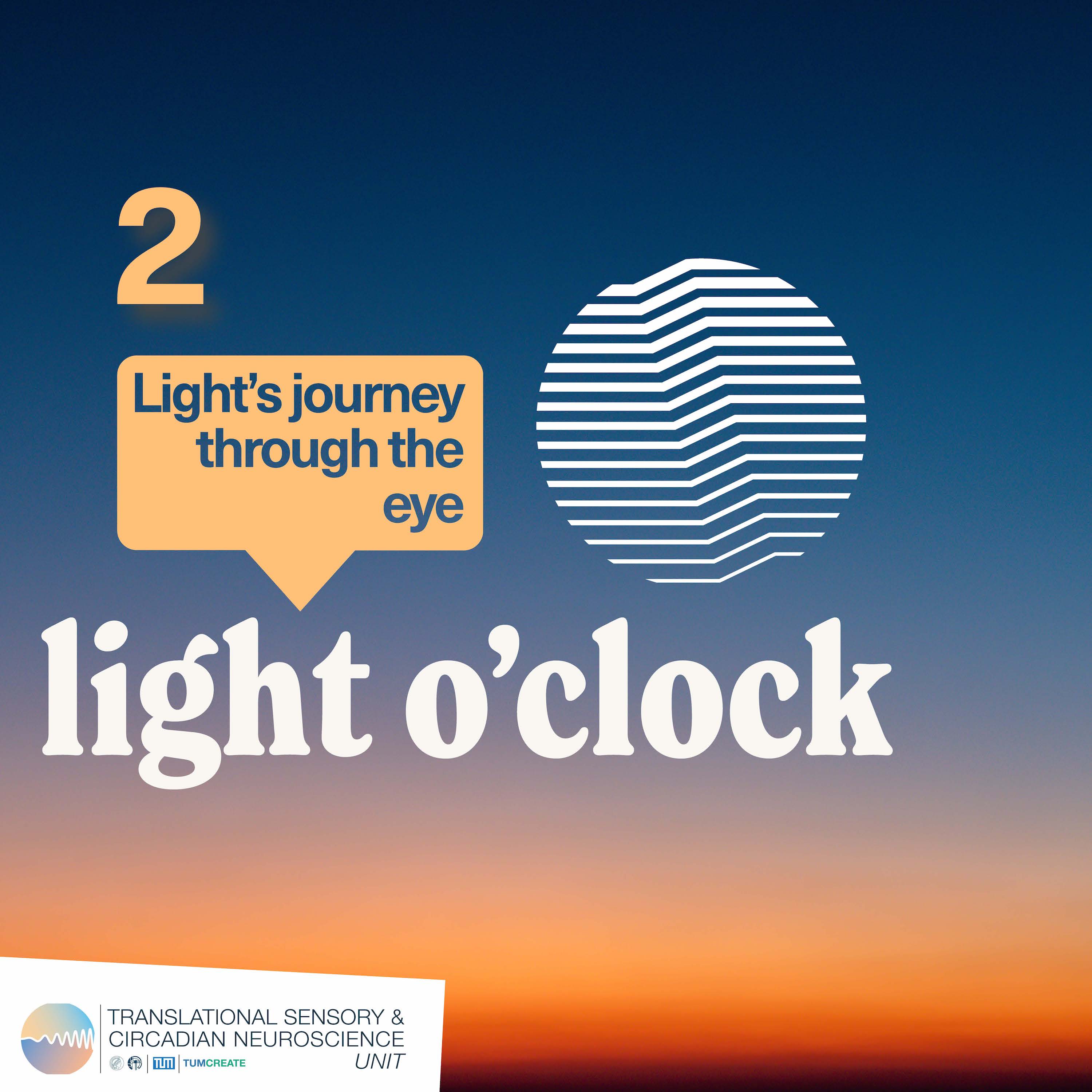 Season 1 – Episode 2: Light’s journey through the eye episode artwork