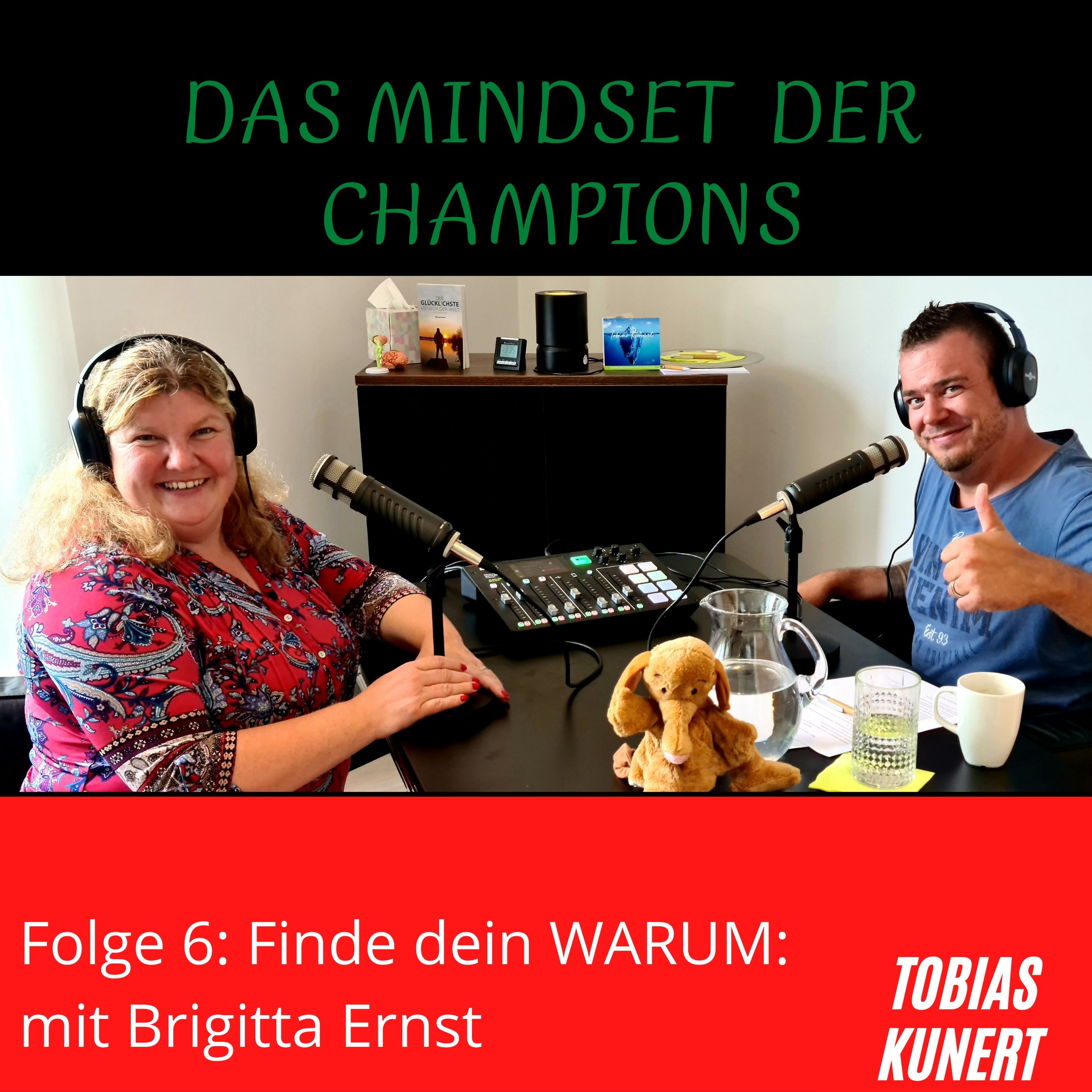 Das Mindset der Champions - Folge 6 - Finde dein WARUM - mit Brigitta Ernst episode artwork