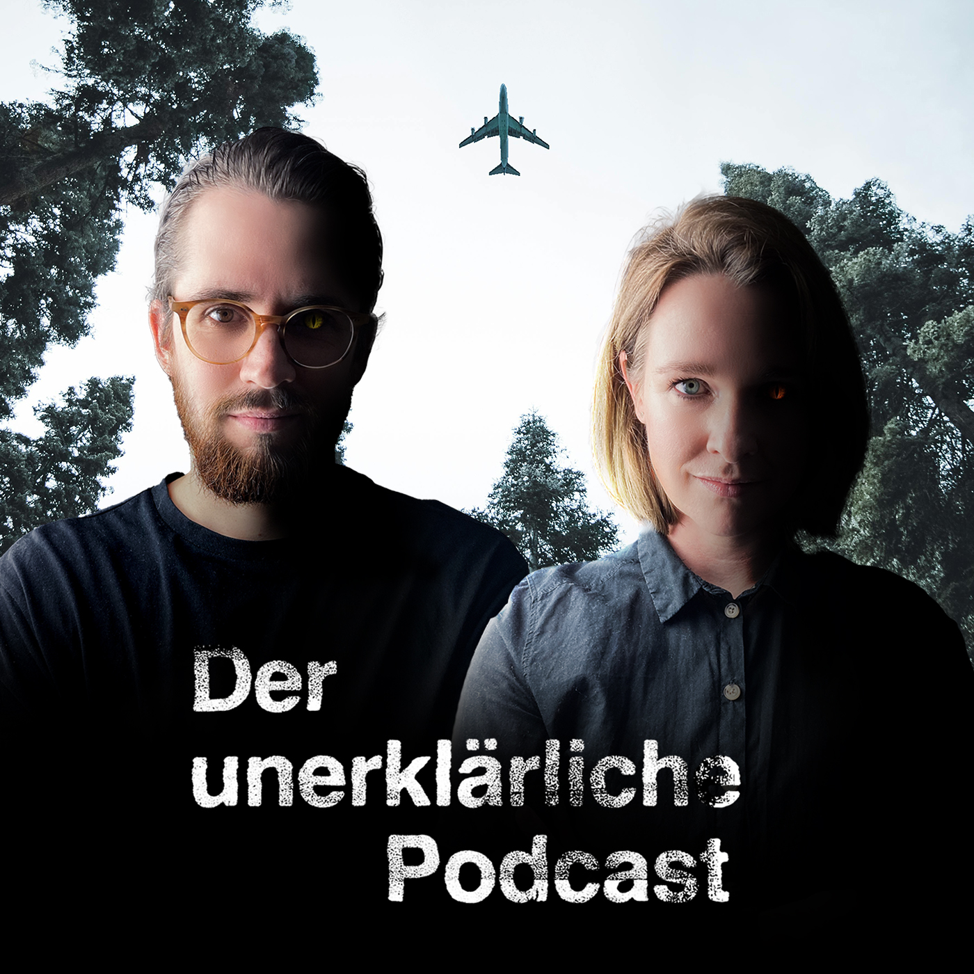 Der Flug MH370