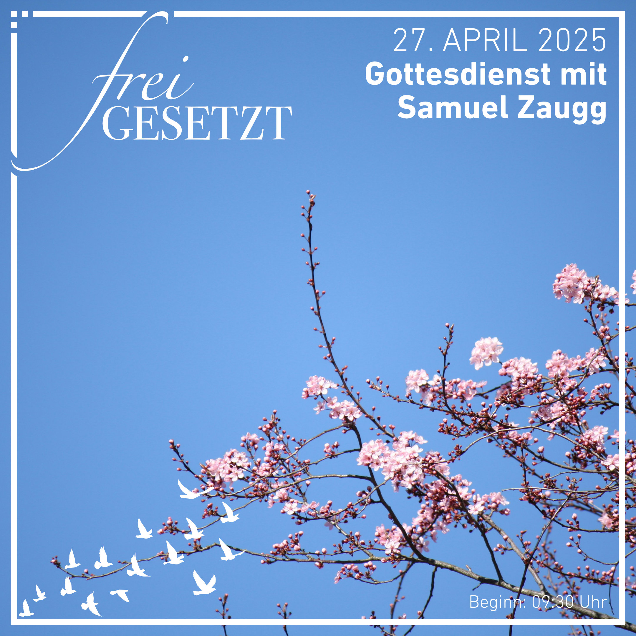 Freiheit ist, unterschiedliche Optionen auszuwählen episode artwork