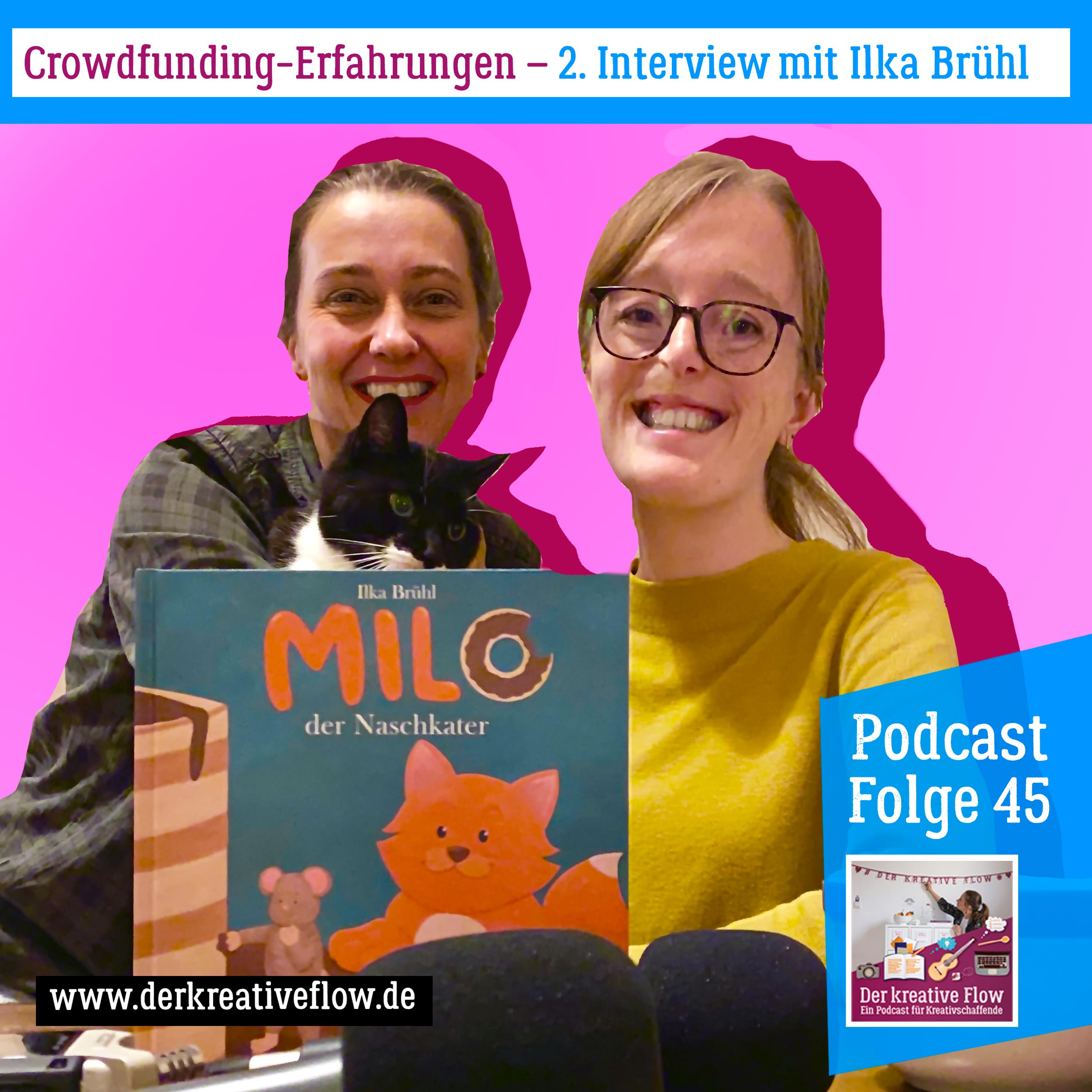 45. Crowdfunding-Erfahrungen – 2. Interview mit Ilka Brühl episode artwork