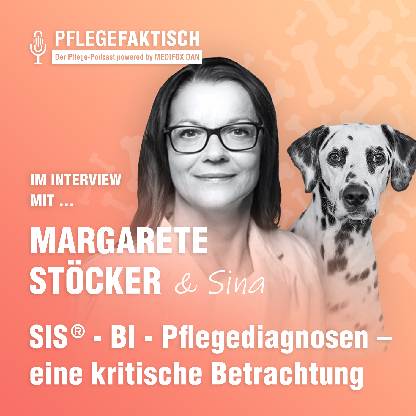 #117 SIS® - BI - Pflegediagnosen – eine  kritische Betrachtung episode artwork