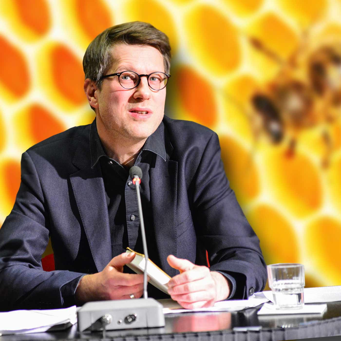 Jan Wagner - „Selbstporträt mit Bienenschwarm“ episode artwork