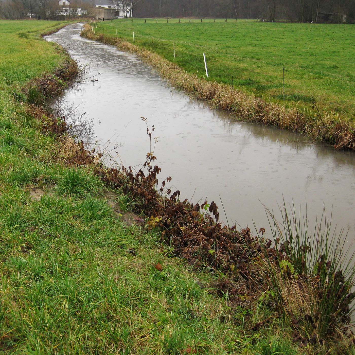 Wasser, lebenswichtige Ressource episode artwork