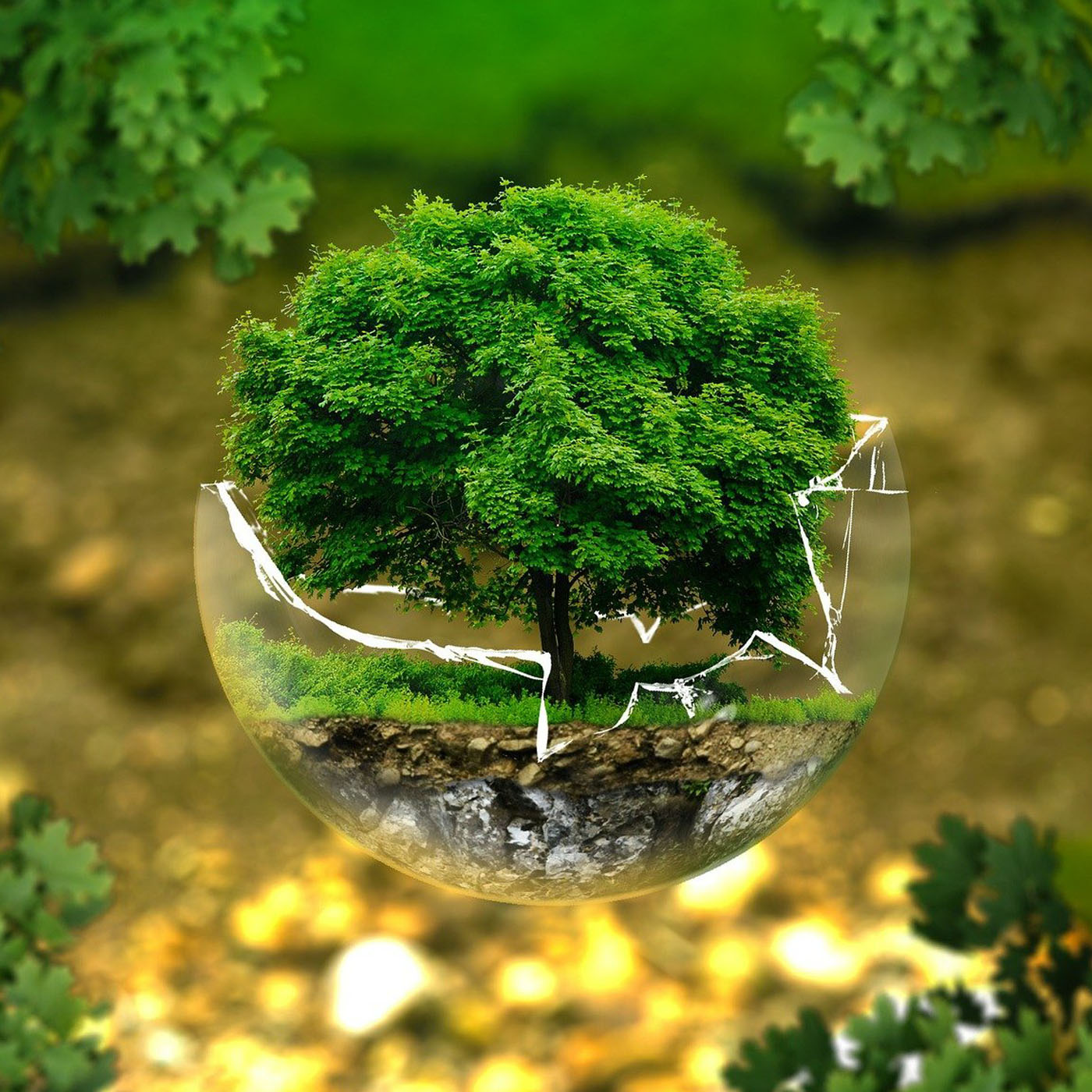 Client Earth episode artwork