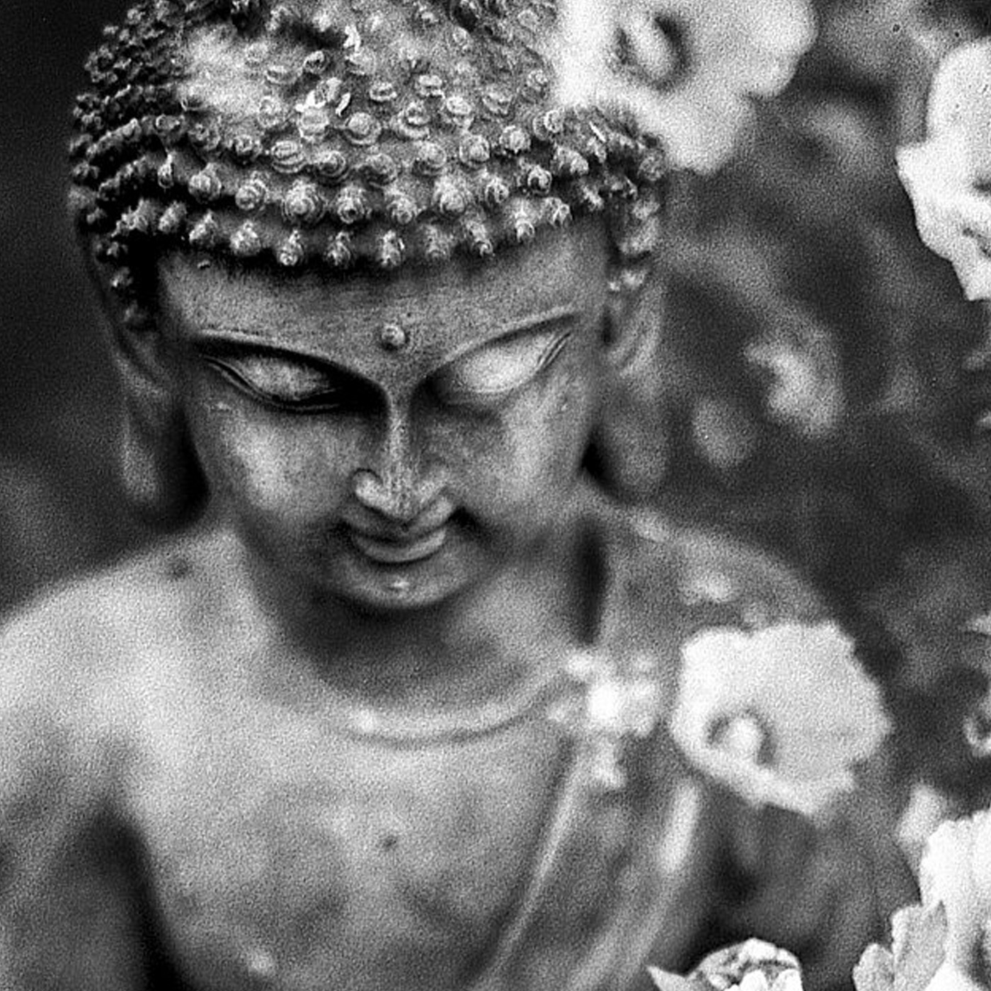 Gott oder die Fülle des Nichts - Buddhistisch-Christliches Dialogforum episode artwork