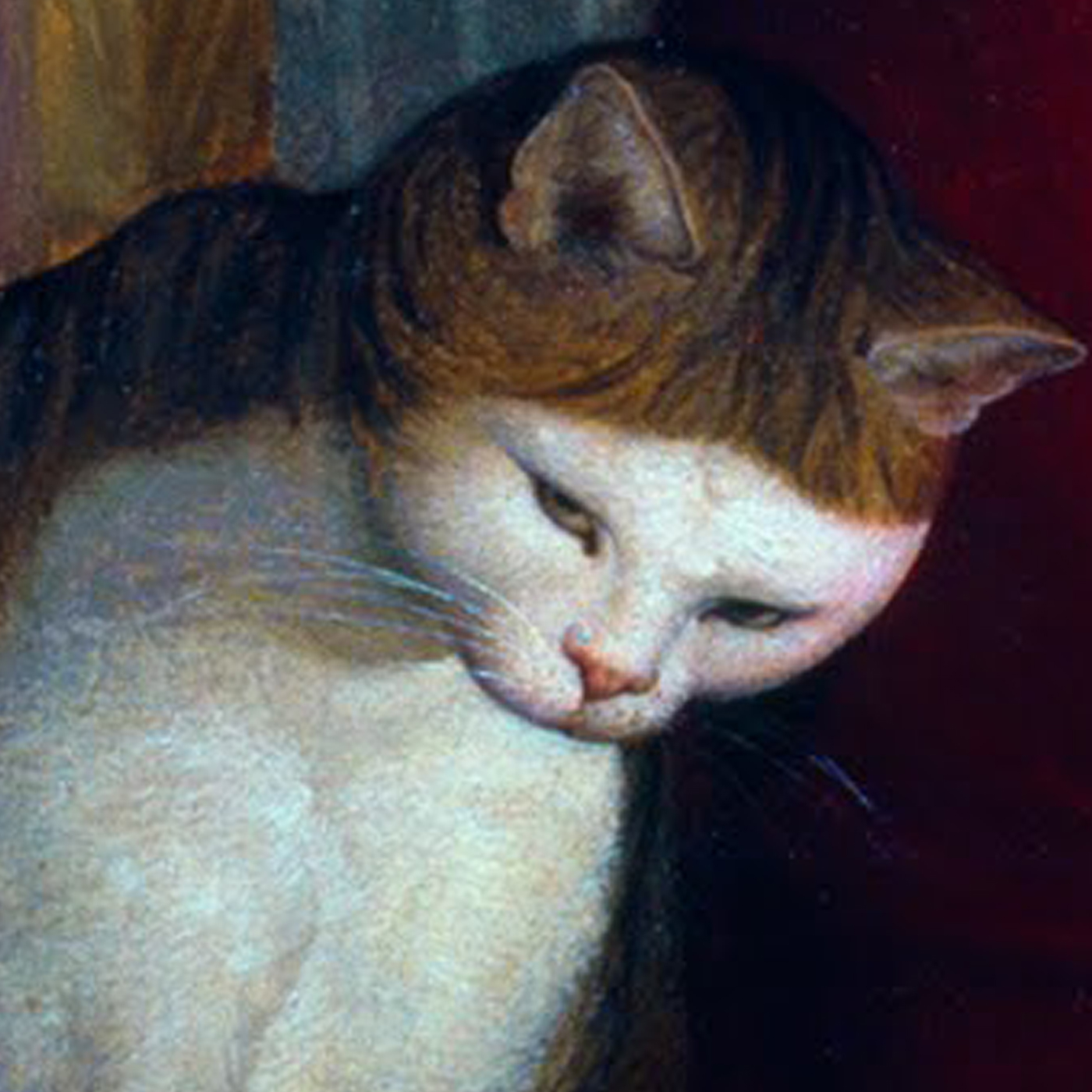 Nils Minkmar - Montaignes Katze episode artwork