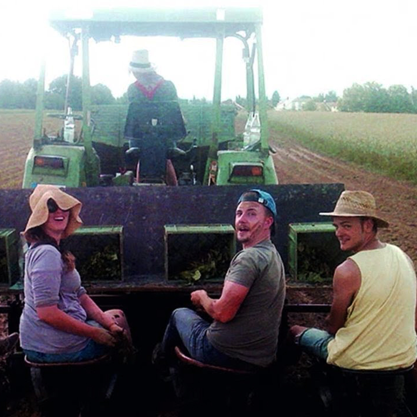 Impact-Investing meets Landwirtschaftswende episode artwork