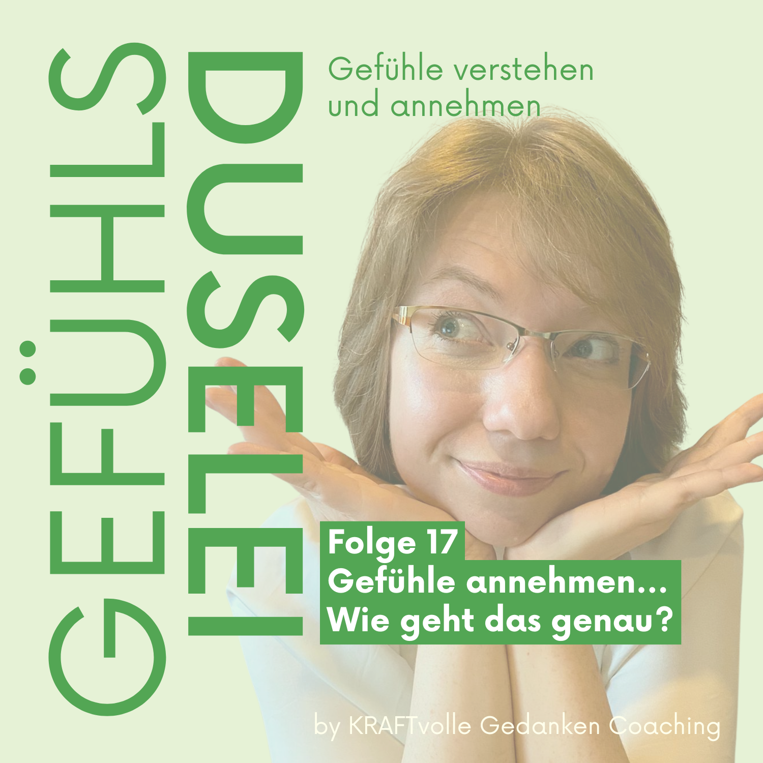 Folge 17 – Gefühle annehmen… Wie geht das genau? episode artwork