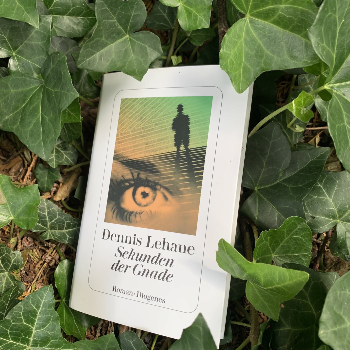 Feiste Bücher 100: "Sekunden der Gnade" von Dennis Lehane episode artwork