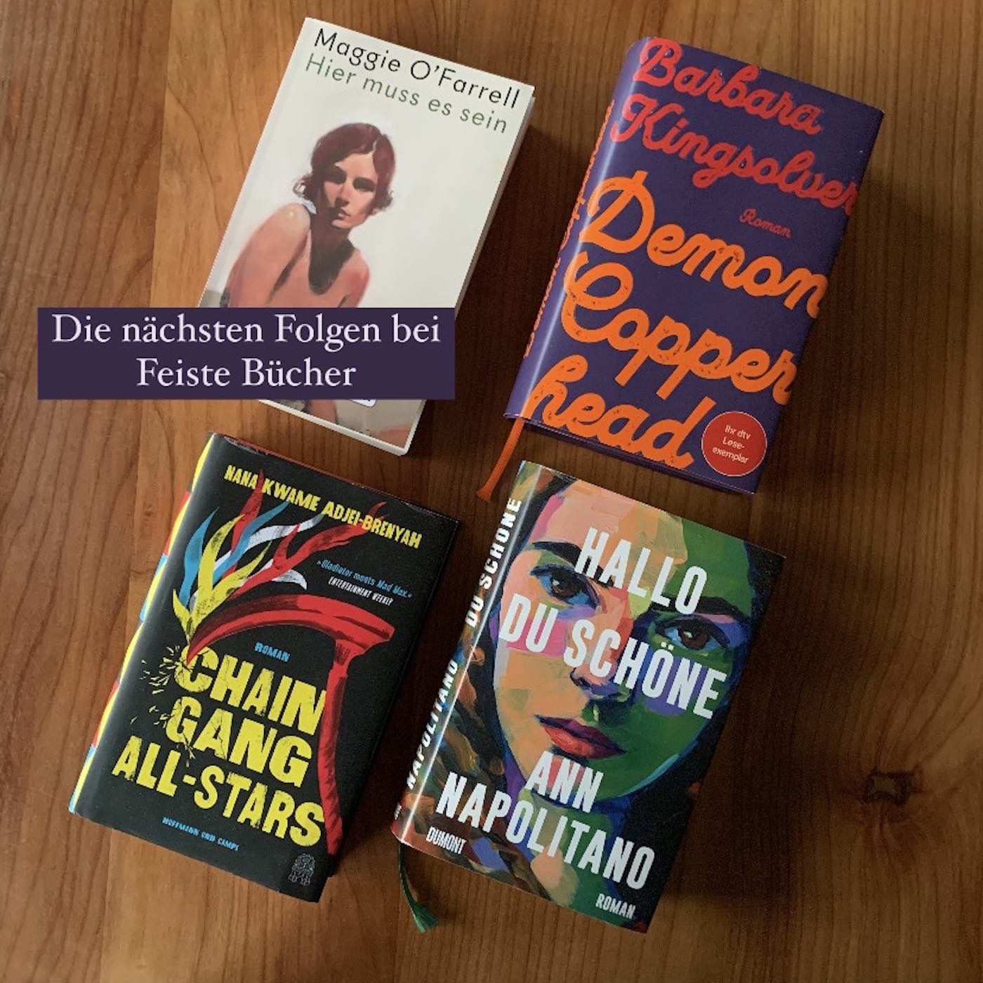 Feiste Bücher 106: Kleiner Vorgeschmack auf die nächsten vier Bücher episode artwork