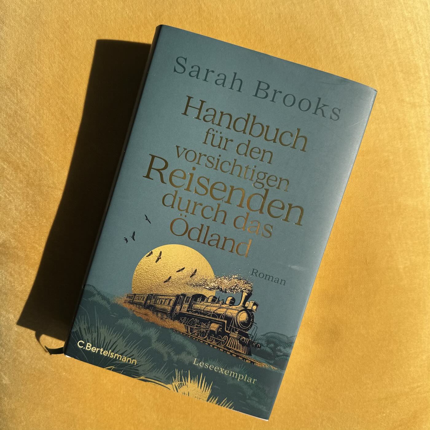 Feiste Bücher 115: "Handbuch für den vorsichtigen Reisenden durch das Ödland" von Sarah Brooks episode artwork