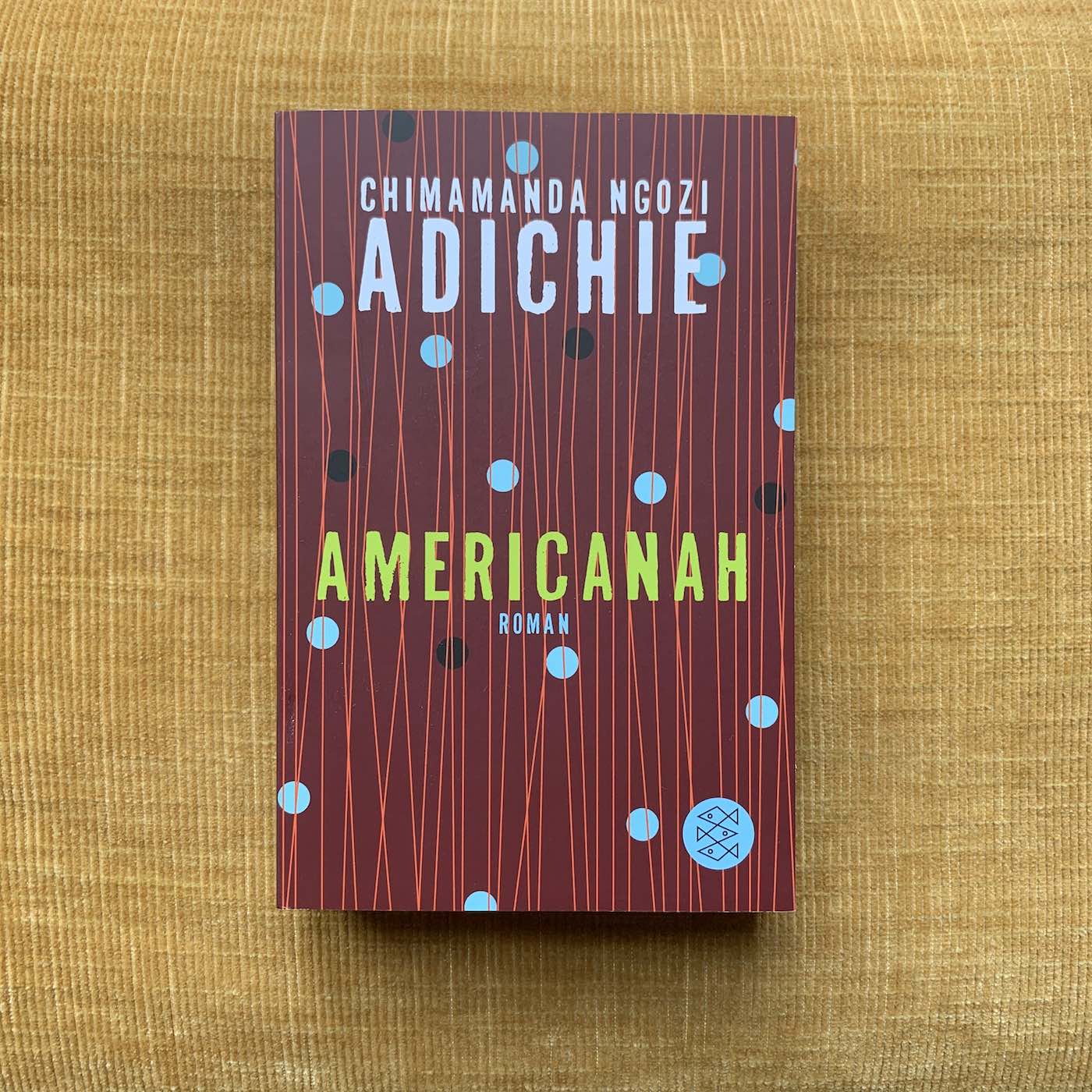 Feiste Bücher 35: Chimamanda Ngozi Adichie episode artwork