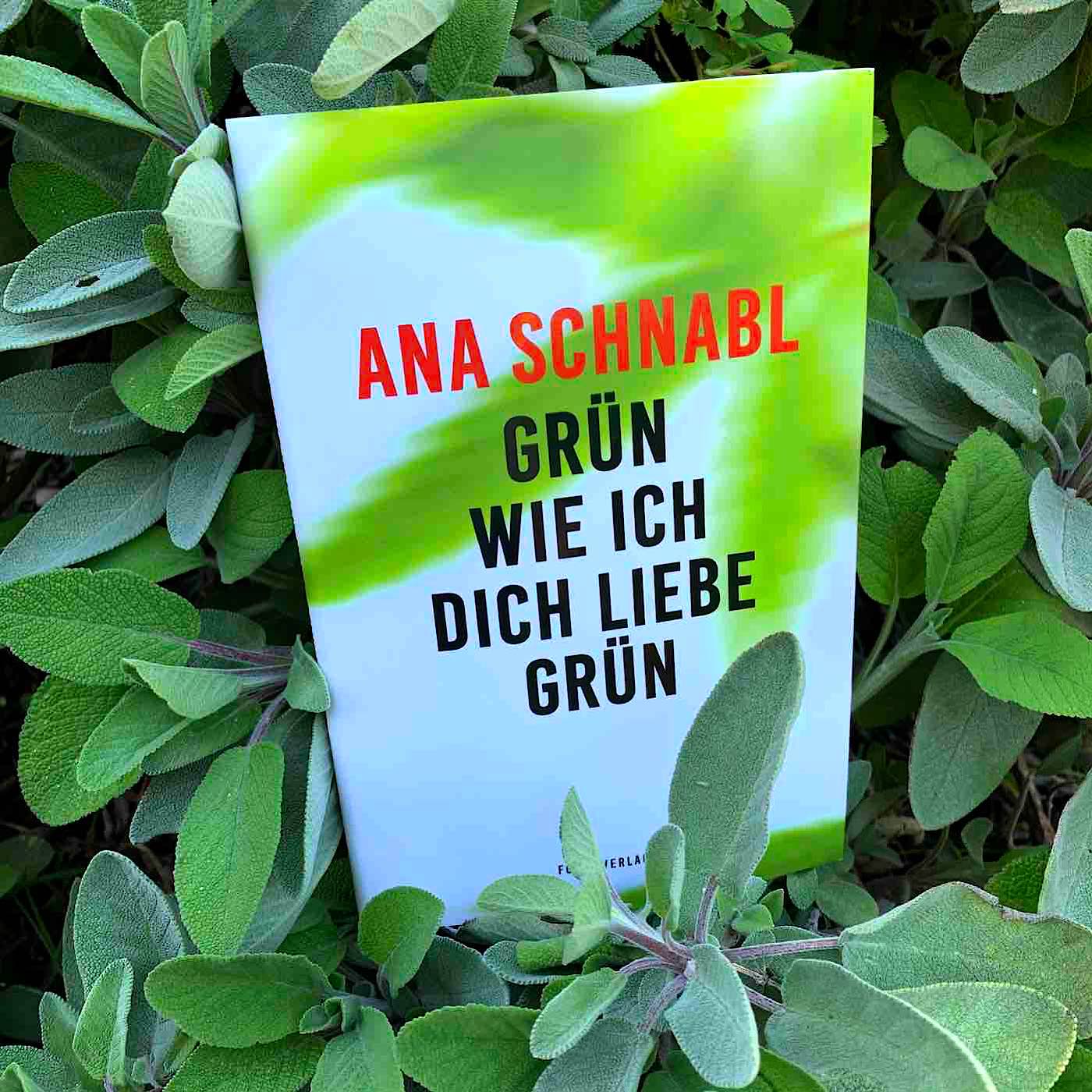Feiste Bücher 56: Vorgelesen: Ana Schnabl episode artwork