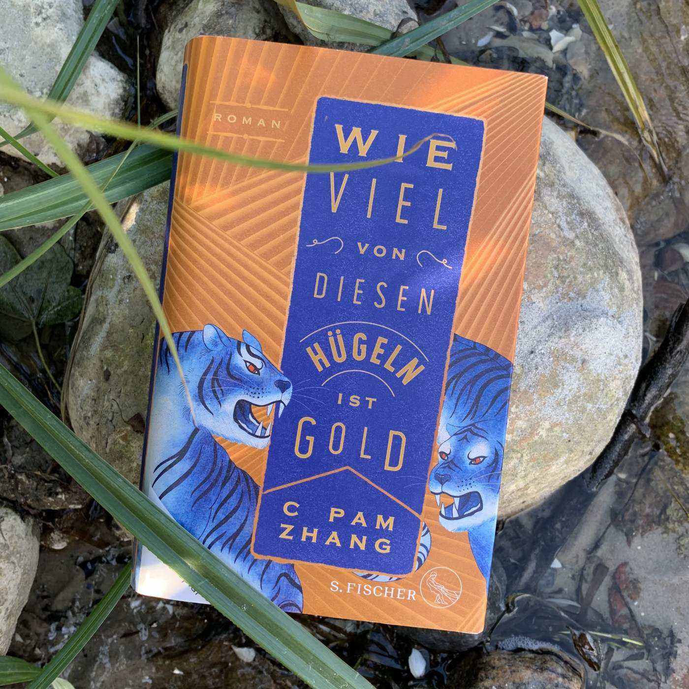 Feiste Bücher 62: C Pam Zhang "Wie viel von diesen Hügeln ist Gold" episode artwork
