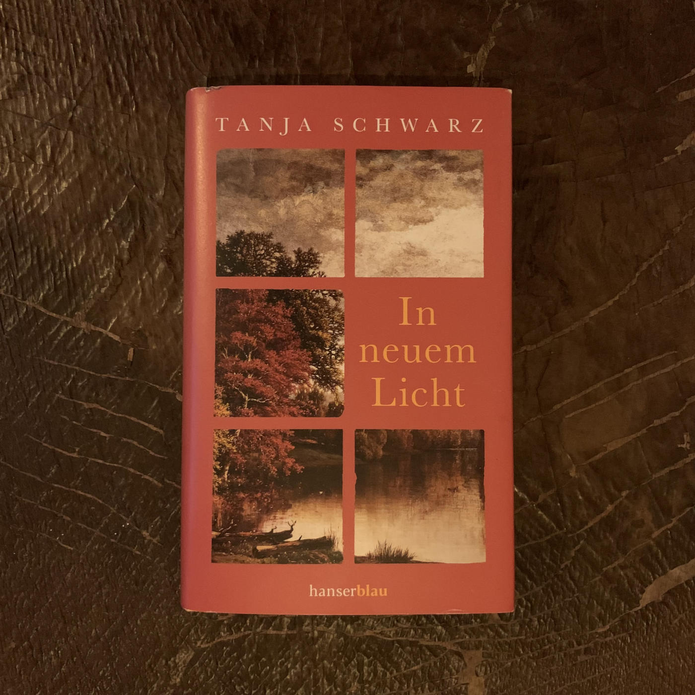 Feiste Bücher 68, vorgelesen: "Das Gespinst von Tanja Schwarz aus: "In neuem Licht" episode artwork