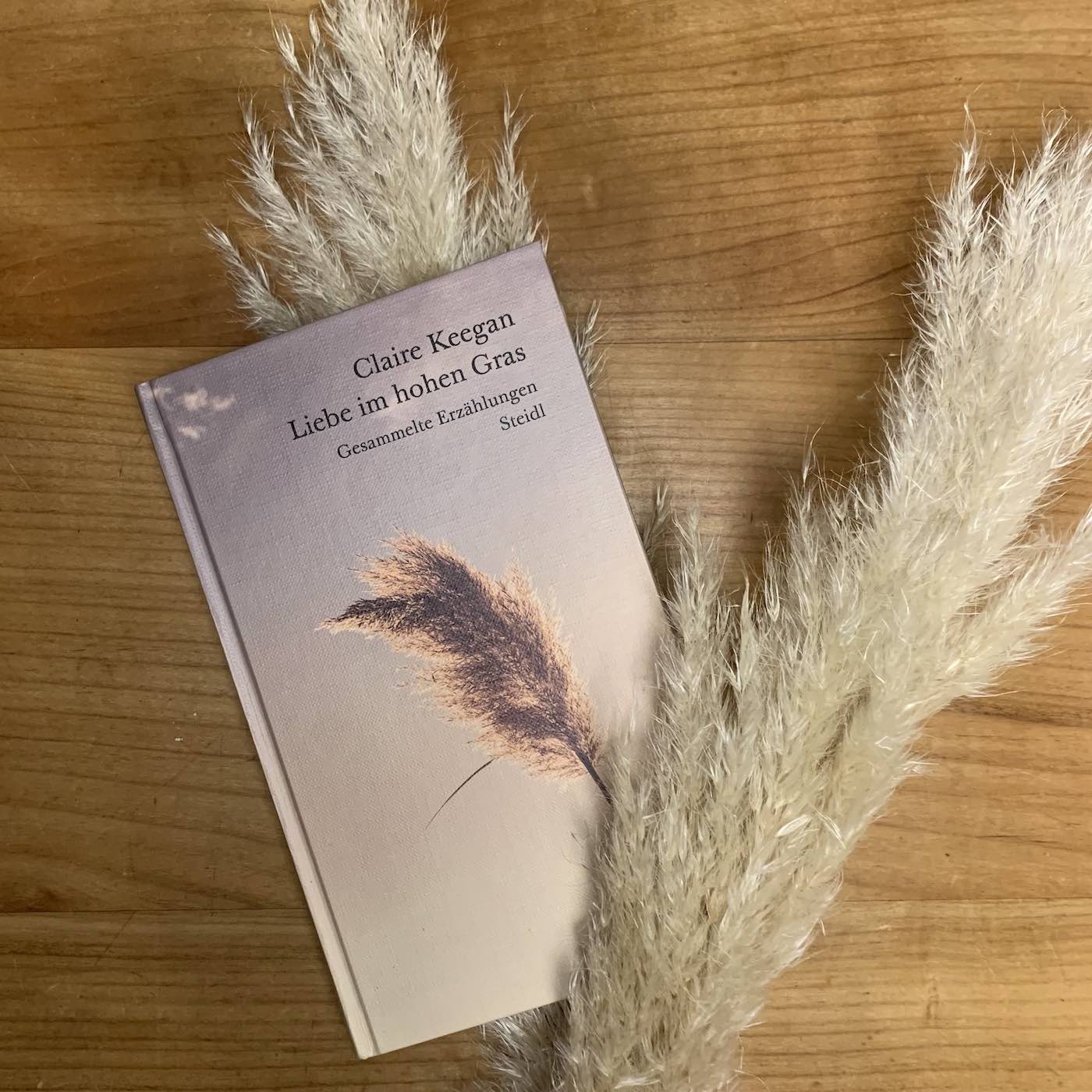 Feiste Bücher 73, vorgelesen: "Brandwunden" von Claire Keegan, aus: "Liebe im hohen Gras" episode artwork