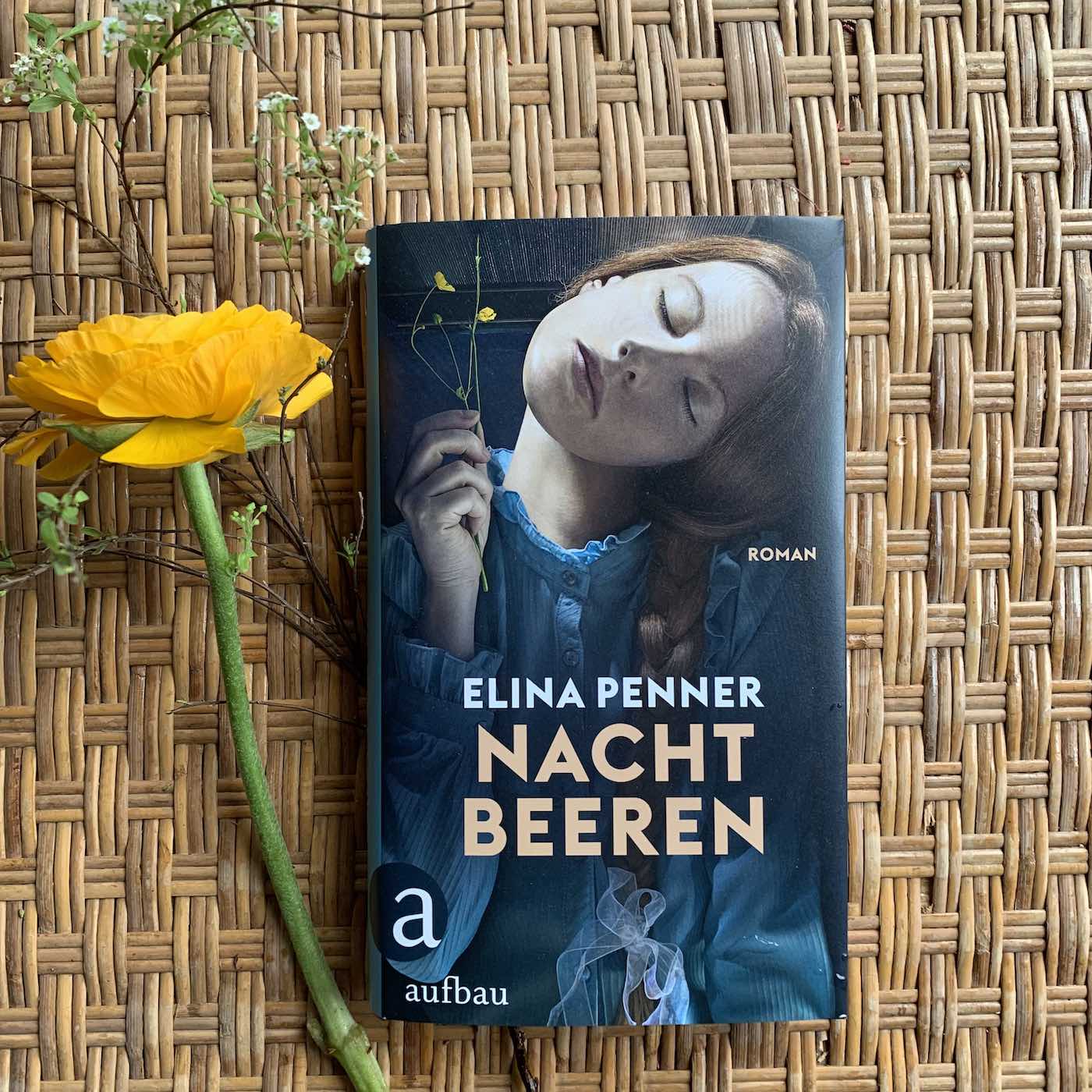 Feiste Bücher 76: Elina Penner "Nachtbeeren" episode artwork