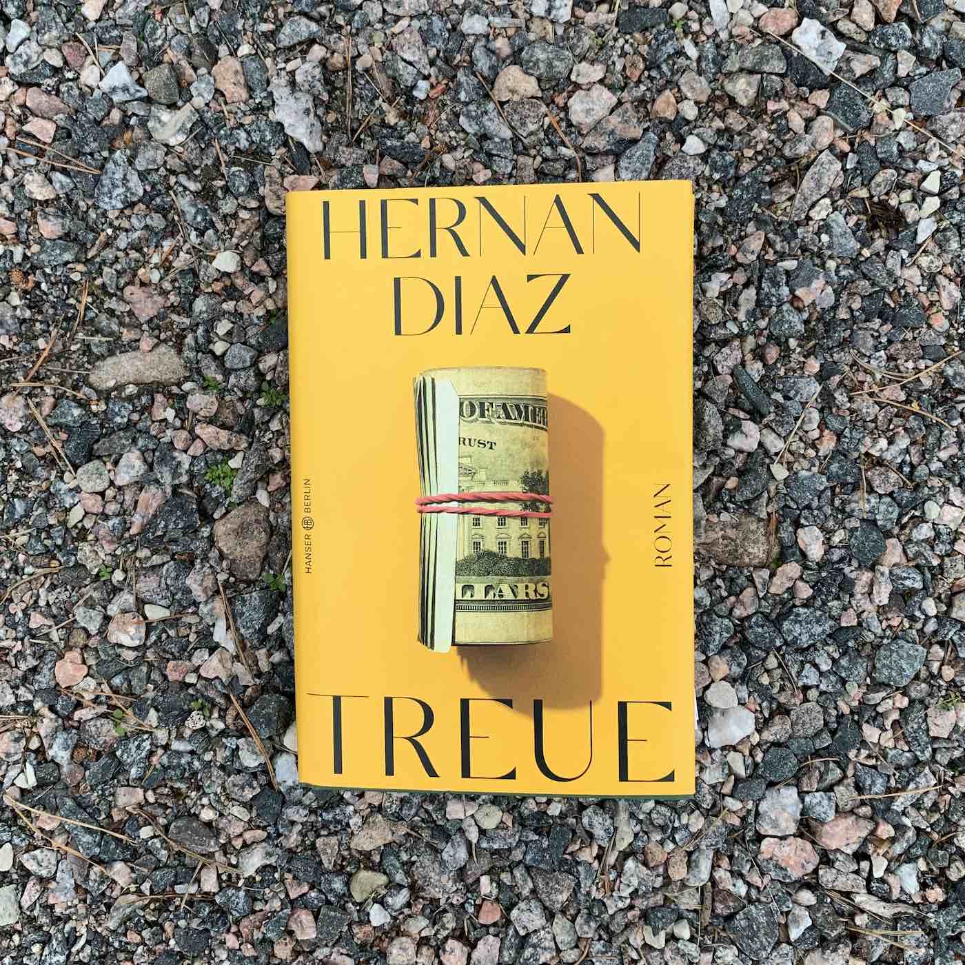 Feiste Bücher 81: "Treue" von Hernan Diaz (jetzt wirklich) episode artwork