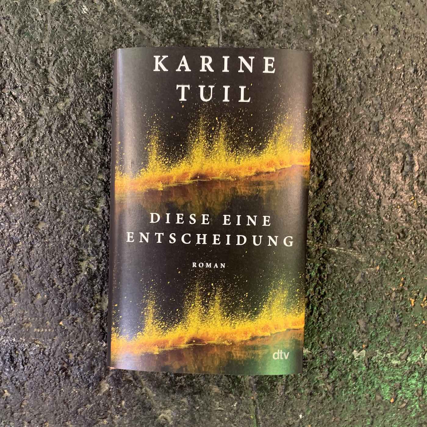 Feiste Bücher 85: "Diese eine Entscheidung" von Karine Tuil episode artwork
