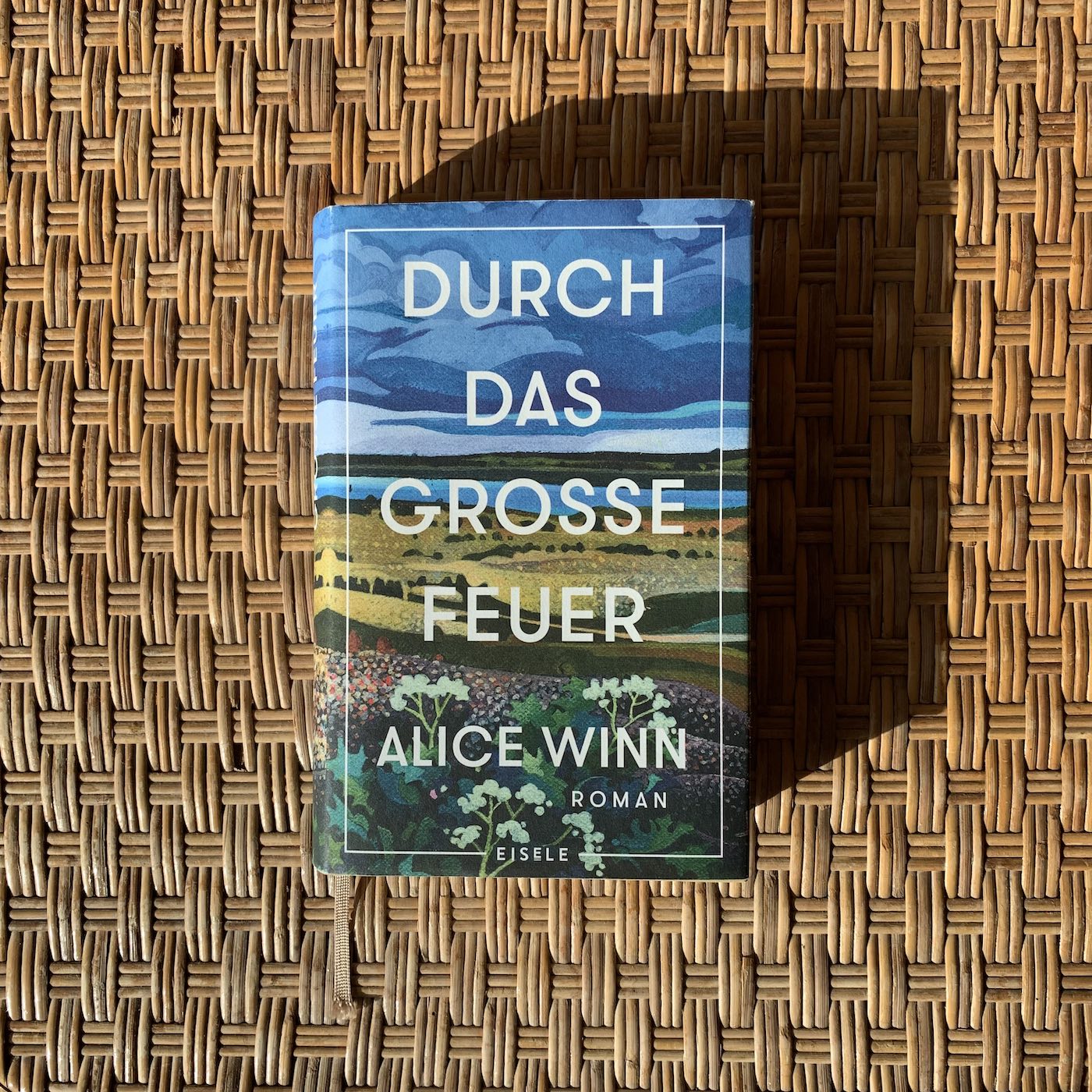 Feiste Bücher 92: "Durch das Große Feuer" von Alice Winn episode artwork