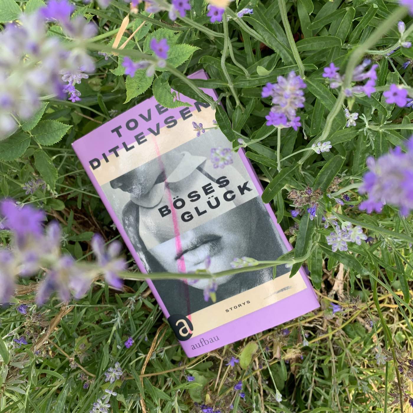 Feiste Bücher 97, vorgelesen: "Das Eigensinnige Leben" von Tove Ditlevsen, aus: "Böses Glück" episode artwork
