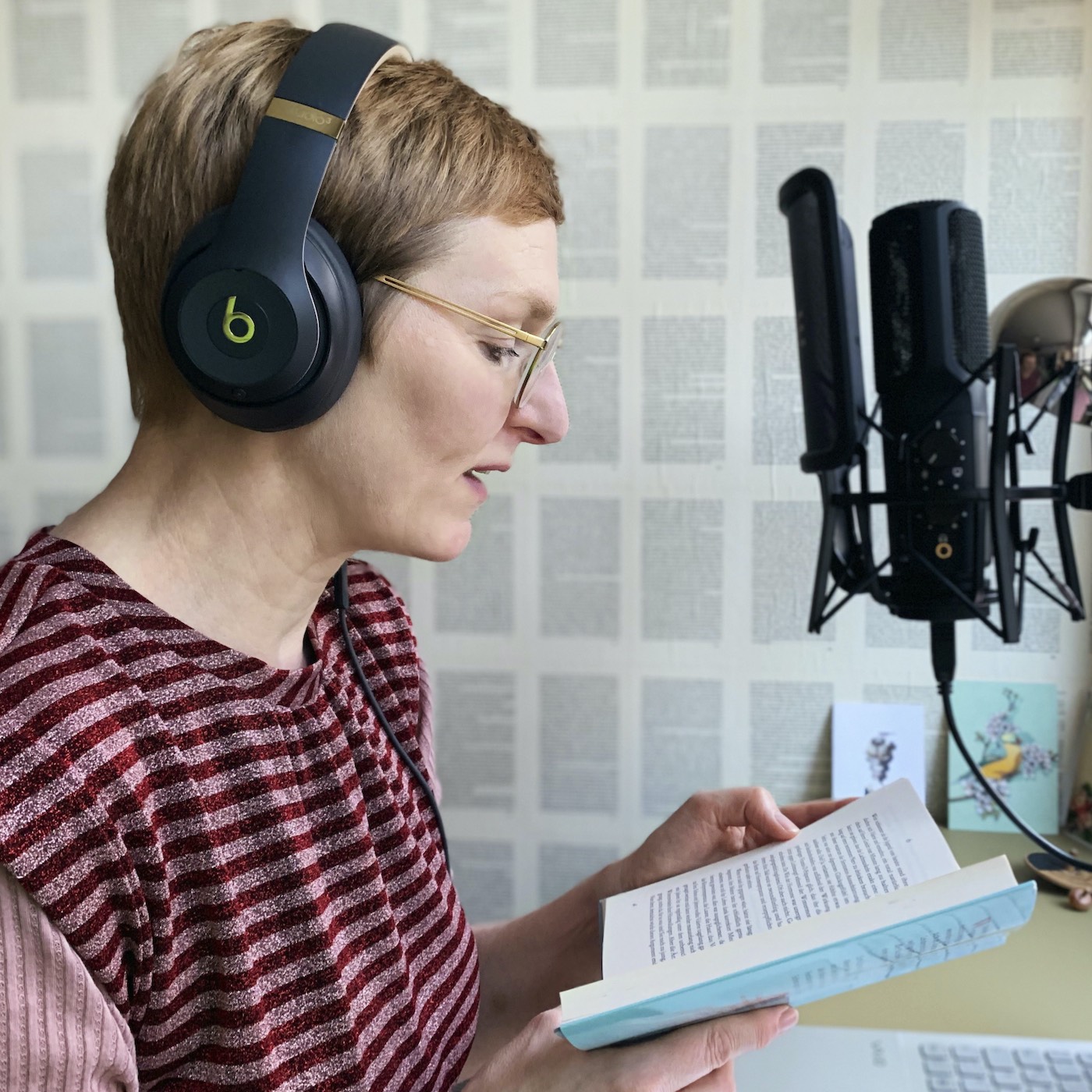 Feiste Bücher podcast artwork