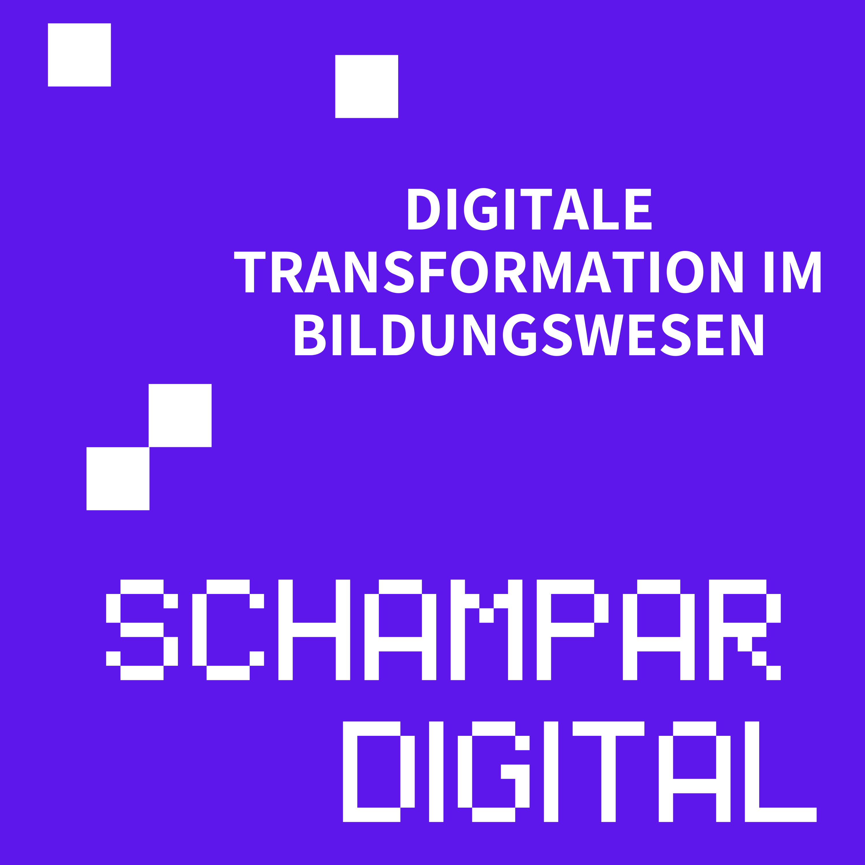 Revolution des Lernens? Digitale Transformation im Bildungswesen episode artwork