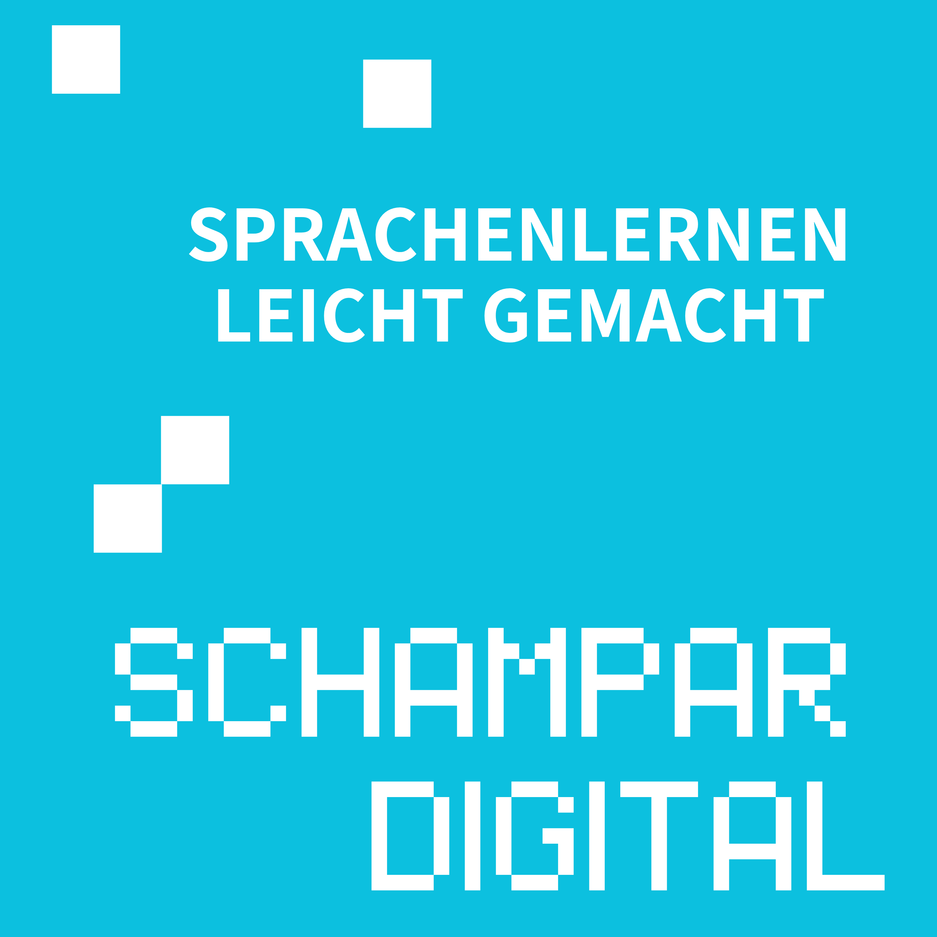 Sprachenlernen leicht gemacht. Chatbots im Englischunterricht episode artwork