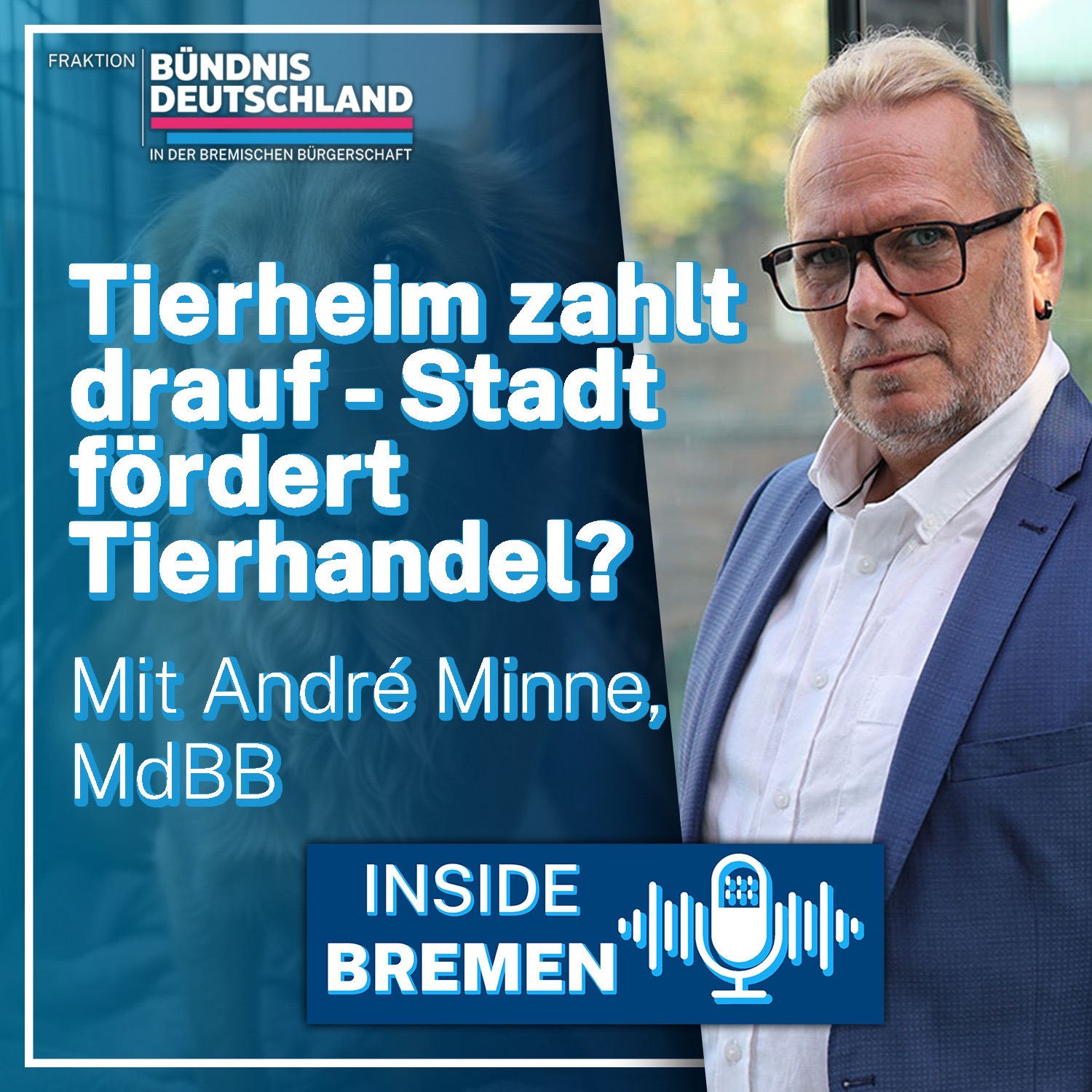 Tierheim zahlt drauf – Stadt fördert Tierhandel? episode artwork