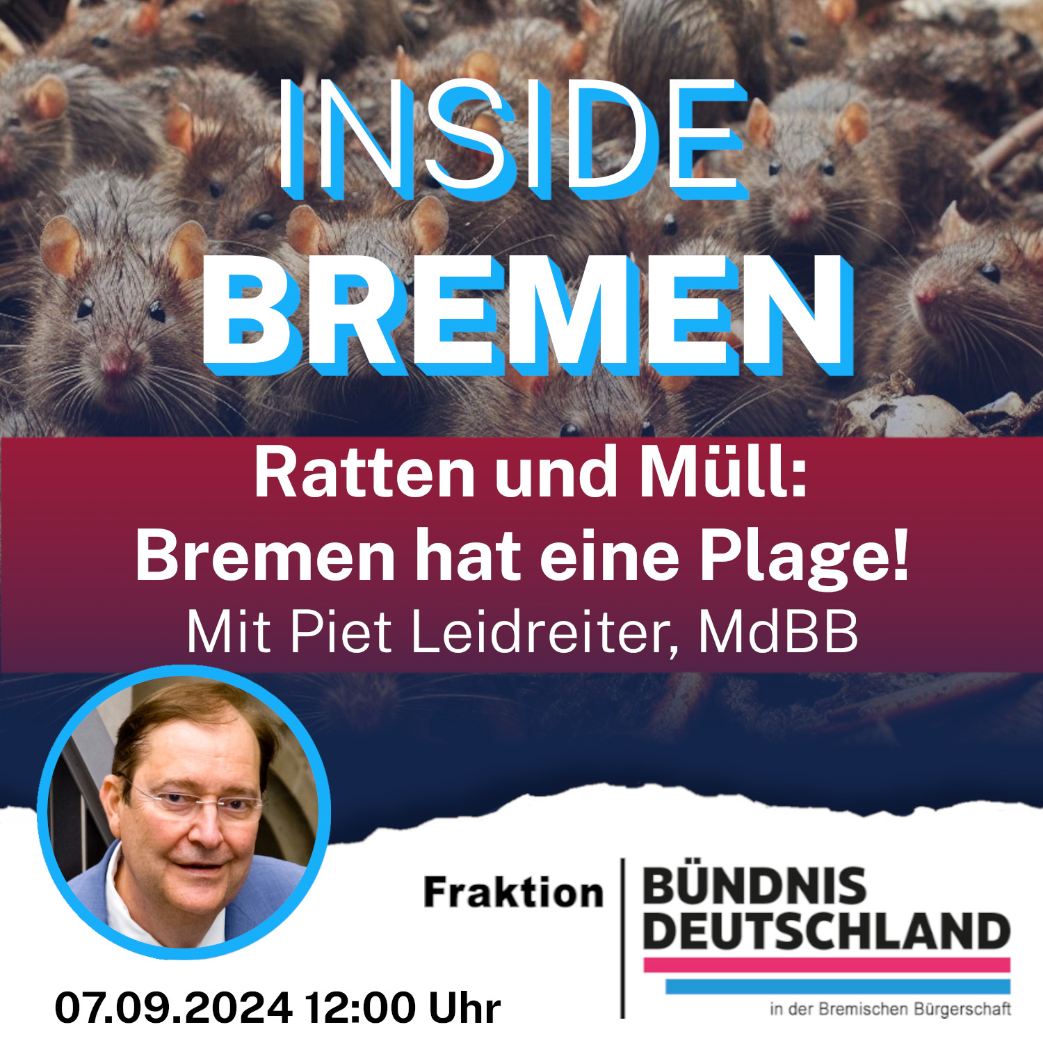 Ratten und Müll: Bremen hat eine Plage! episode artwork