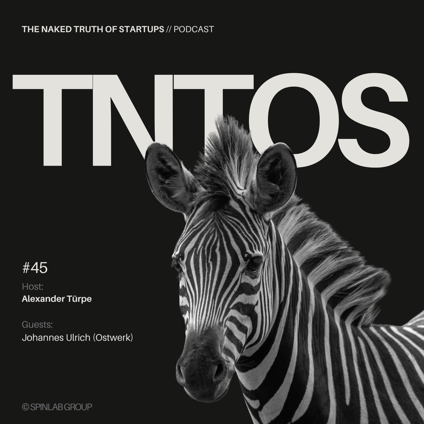 The Naked Truth of Startup - Ostwerk - Investieren in den Osten lohnt sich! episode artwork