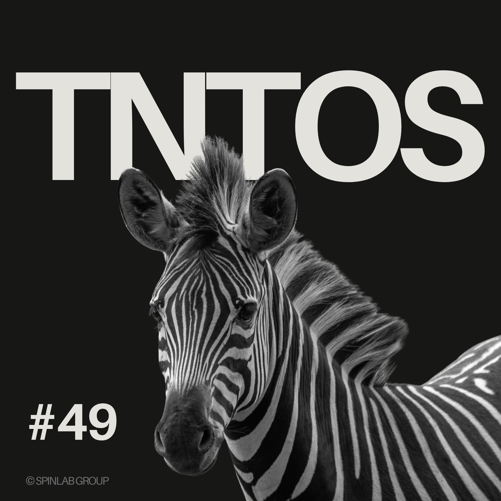 Vom Hoteldirektor zum KI-Gründer: Wie Onsai die Hotellerie revolutioniert - TNTOS episode artwork