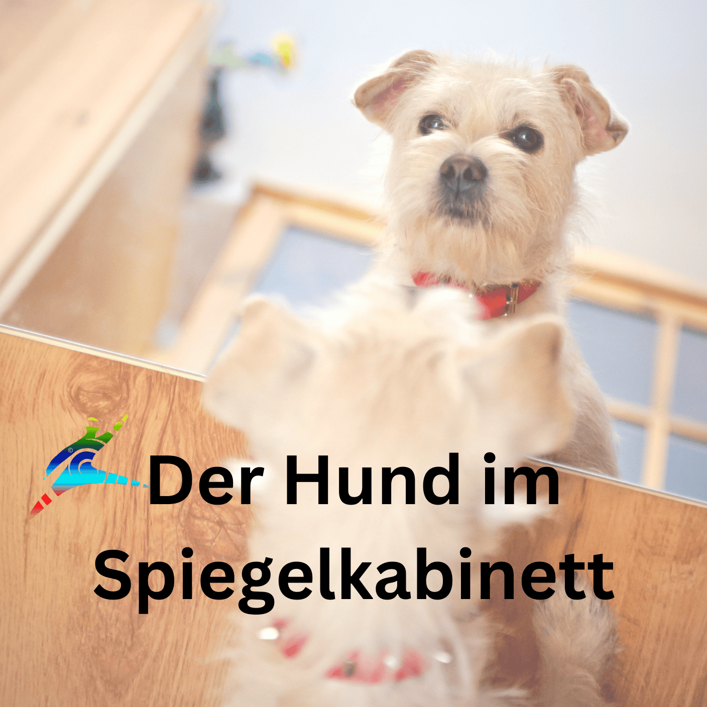Der Hund im Spiegelkabinett: Wie du auf die Welt schaust, so schaut sie zurück episode artwork