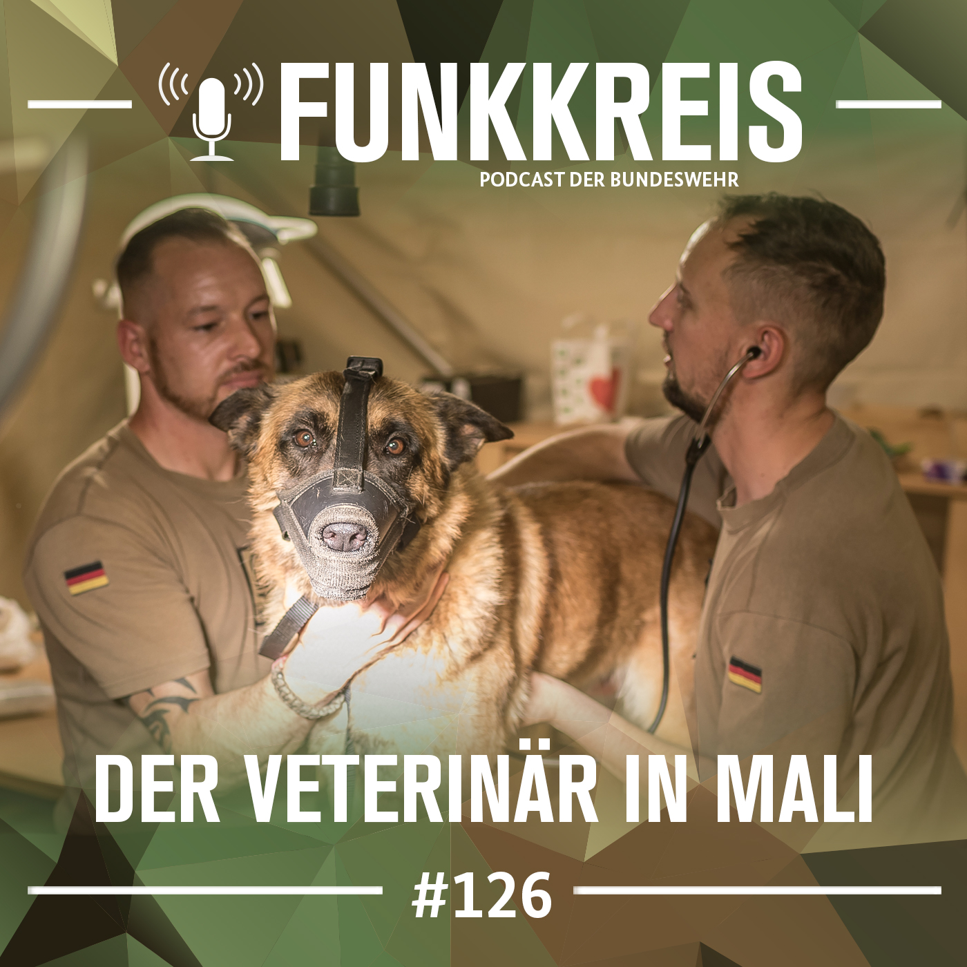 Funkkreis #126: Der Veterinär in Mali