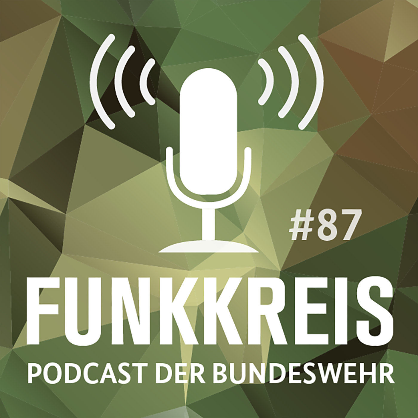 Funkkreis #87: Wächter des Luftraums