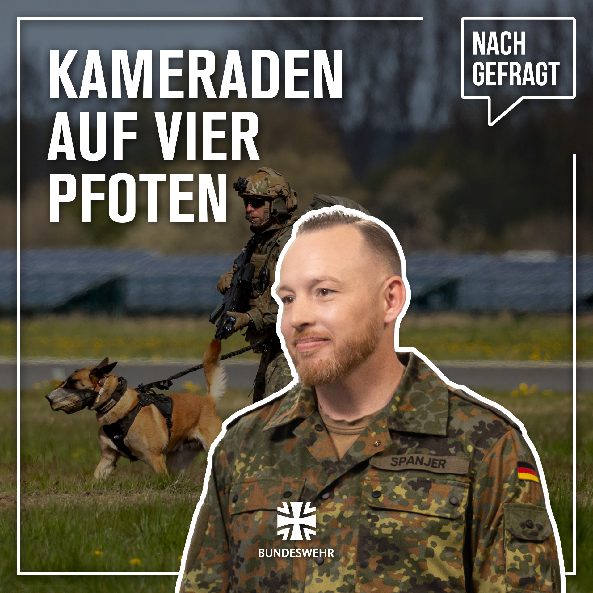 Nachgefragt #100: Spürnase und Beschützer – Hunde beim Militär episode artwork