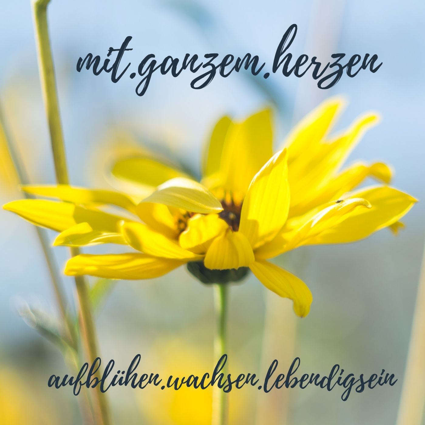 #25 Lebst du schon oder hetzt du noch? Teil 3 - Stille episode artwork
