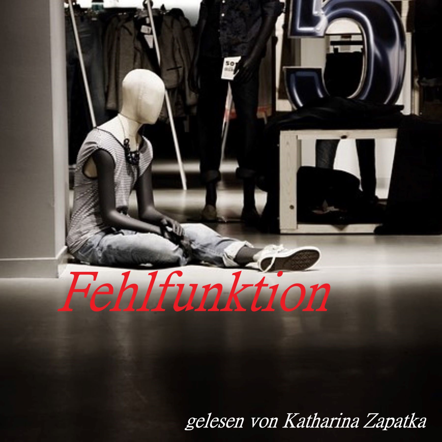 Fehlfunktion episode artwork