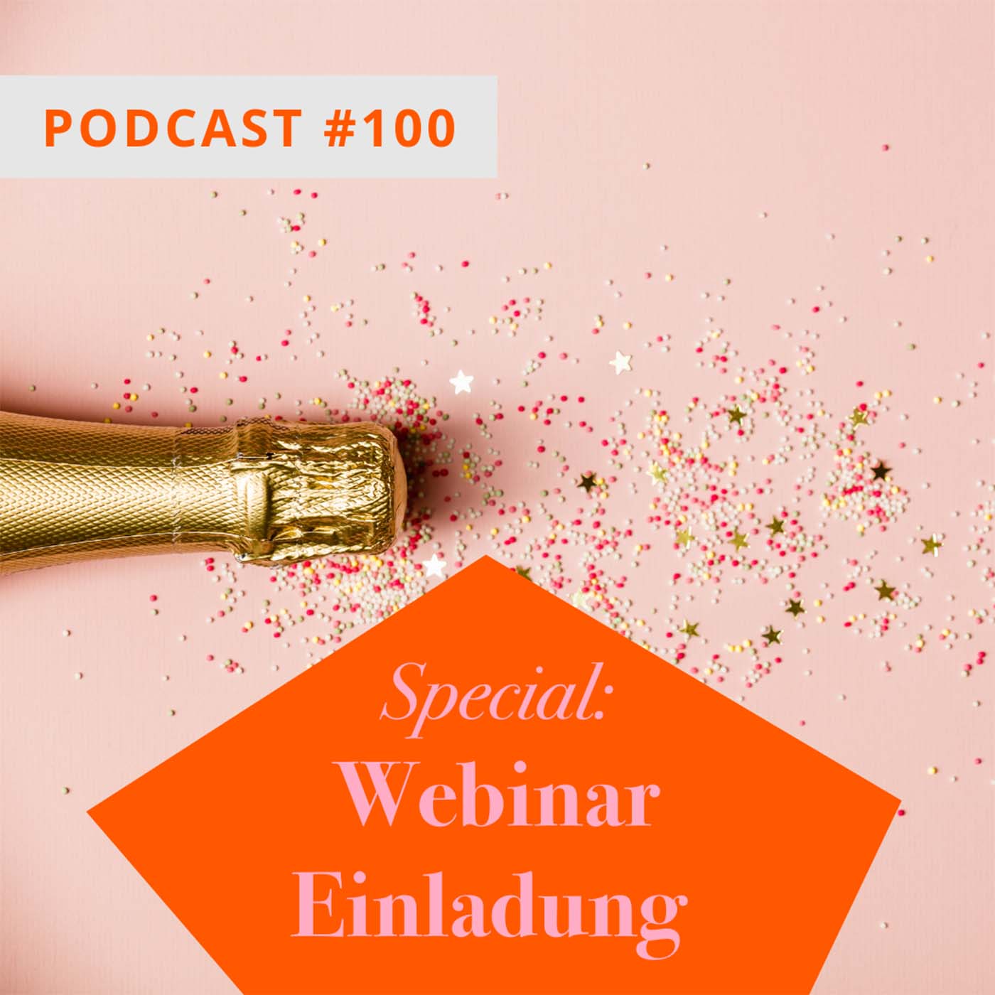 SPECIAL: Webinar Einladung episode artwork