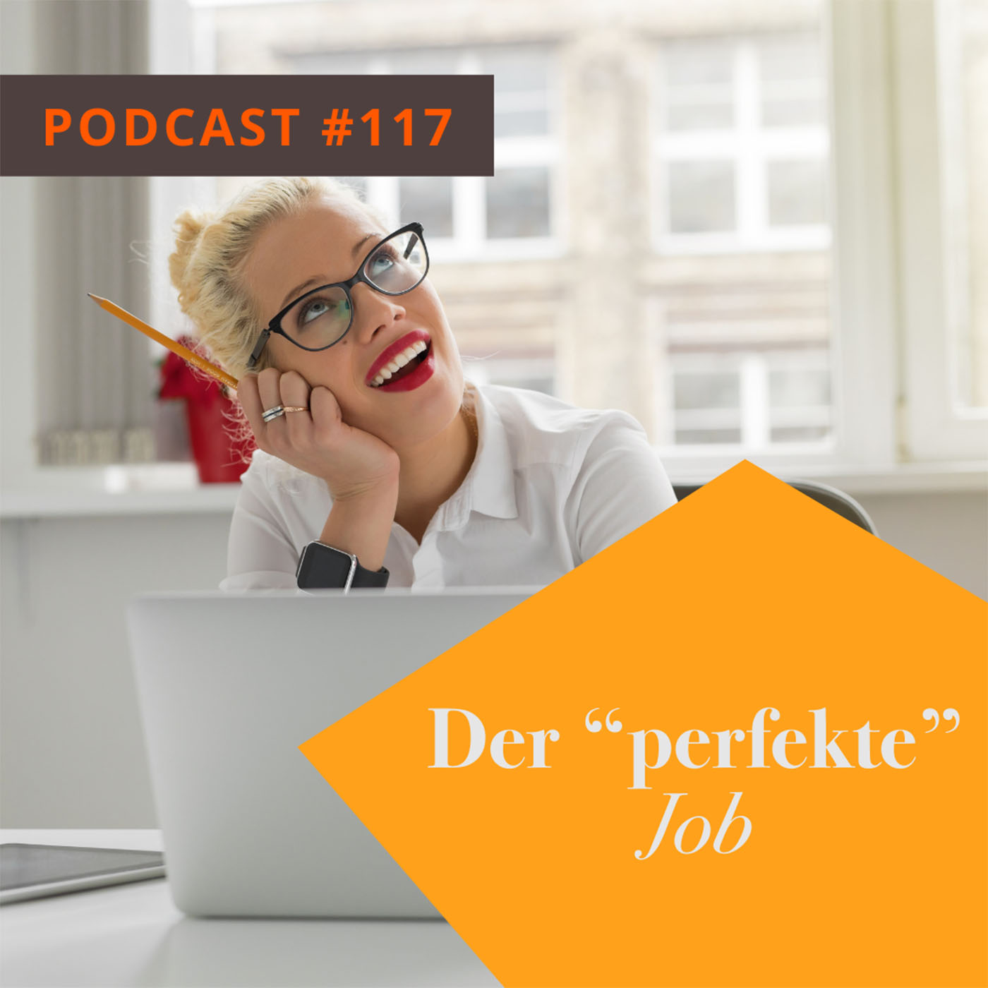 Der “perfekte” Job episode artwork