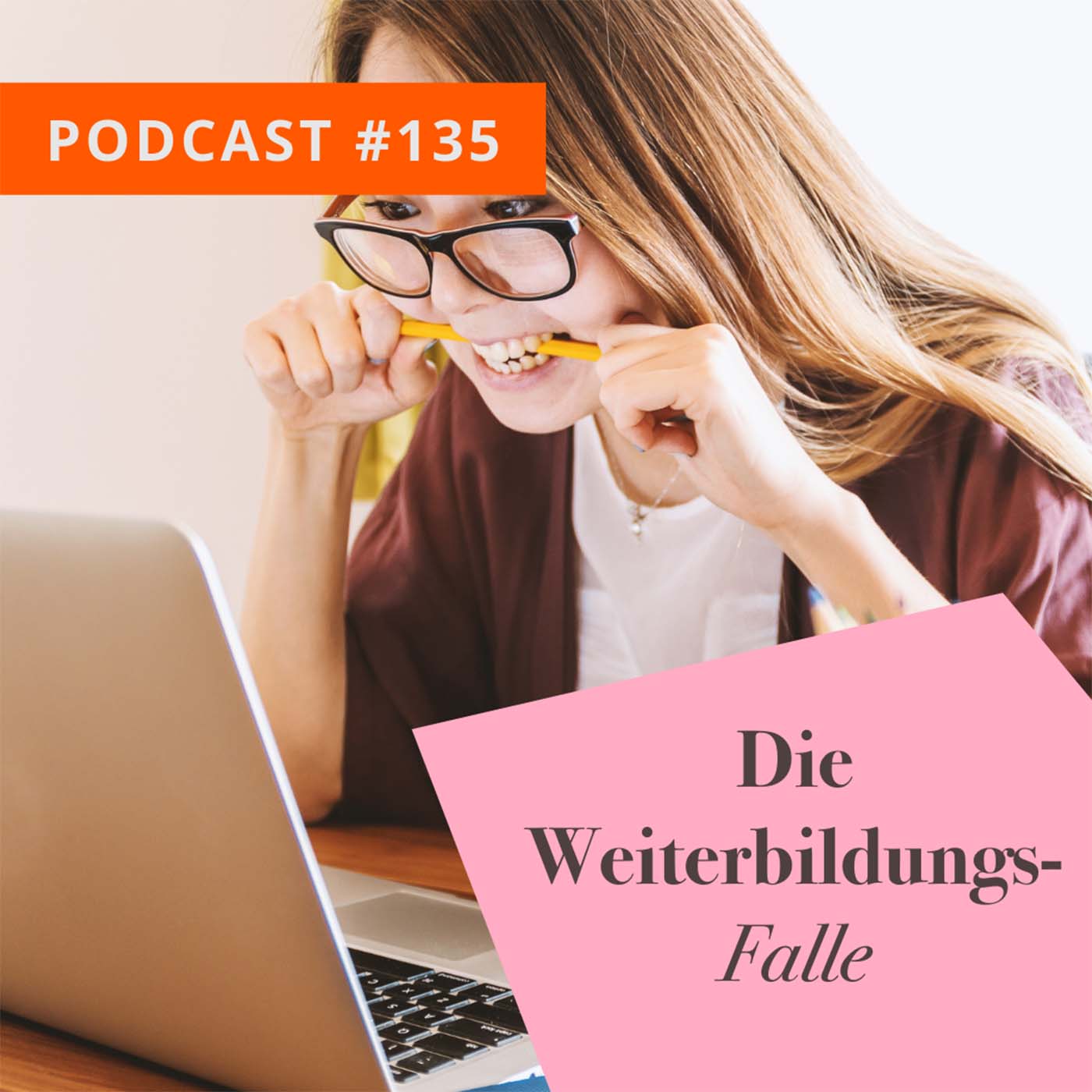 Die Weiterbildungs-Falle episode artwork